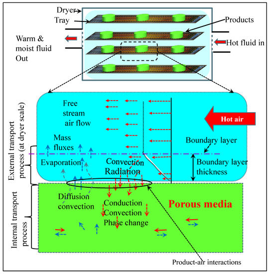 RETRACTED: Physical insights into the heat and mass transfer in