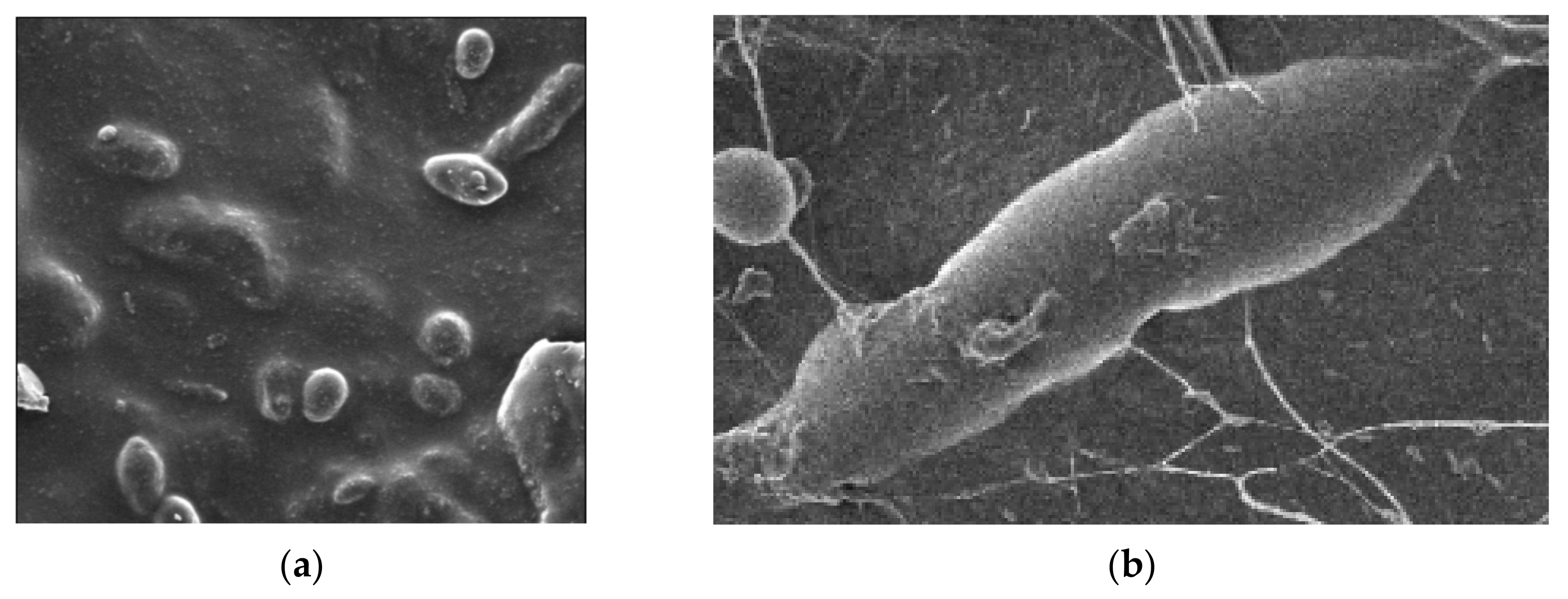 Energies 15 09374 g005 Energies 15 09374 g005