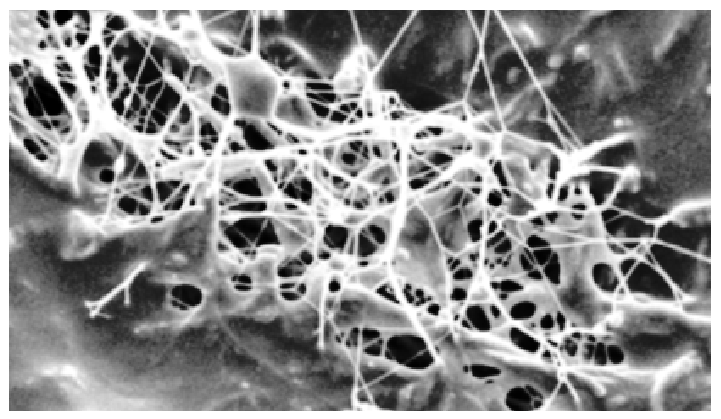 Energies 15 09374 g006 Energies 15 09374 g006