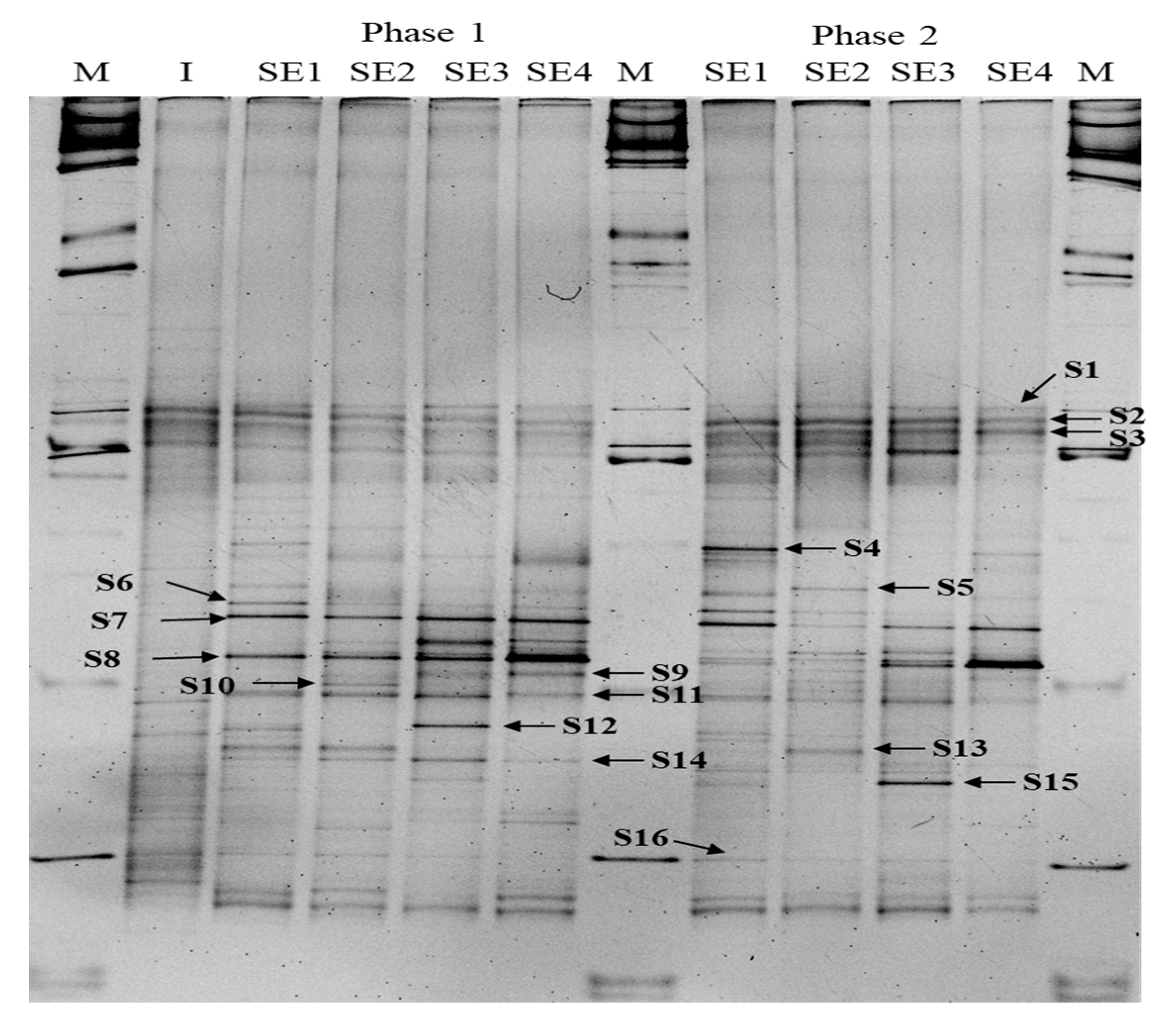 Energies 15 09459 g005a