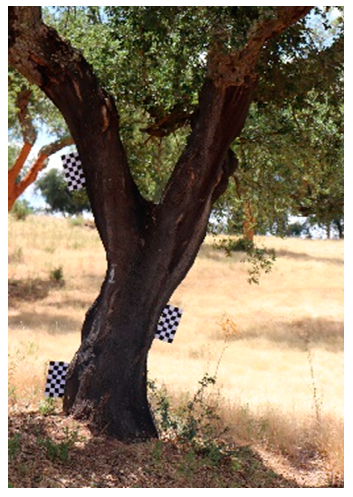 Energies 15 09593 g001