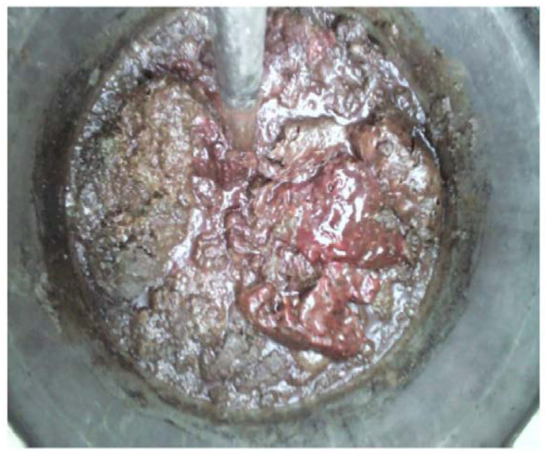 Energies 15 09624 g018 550