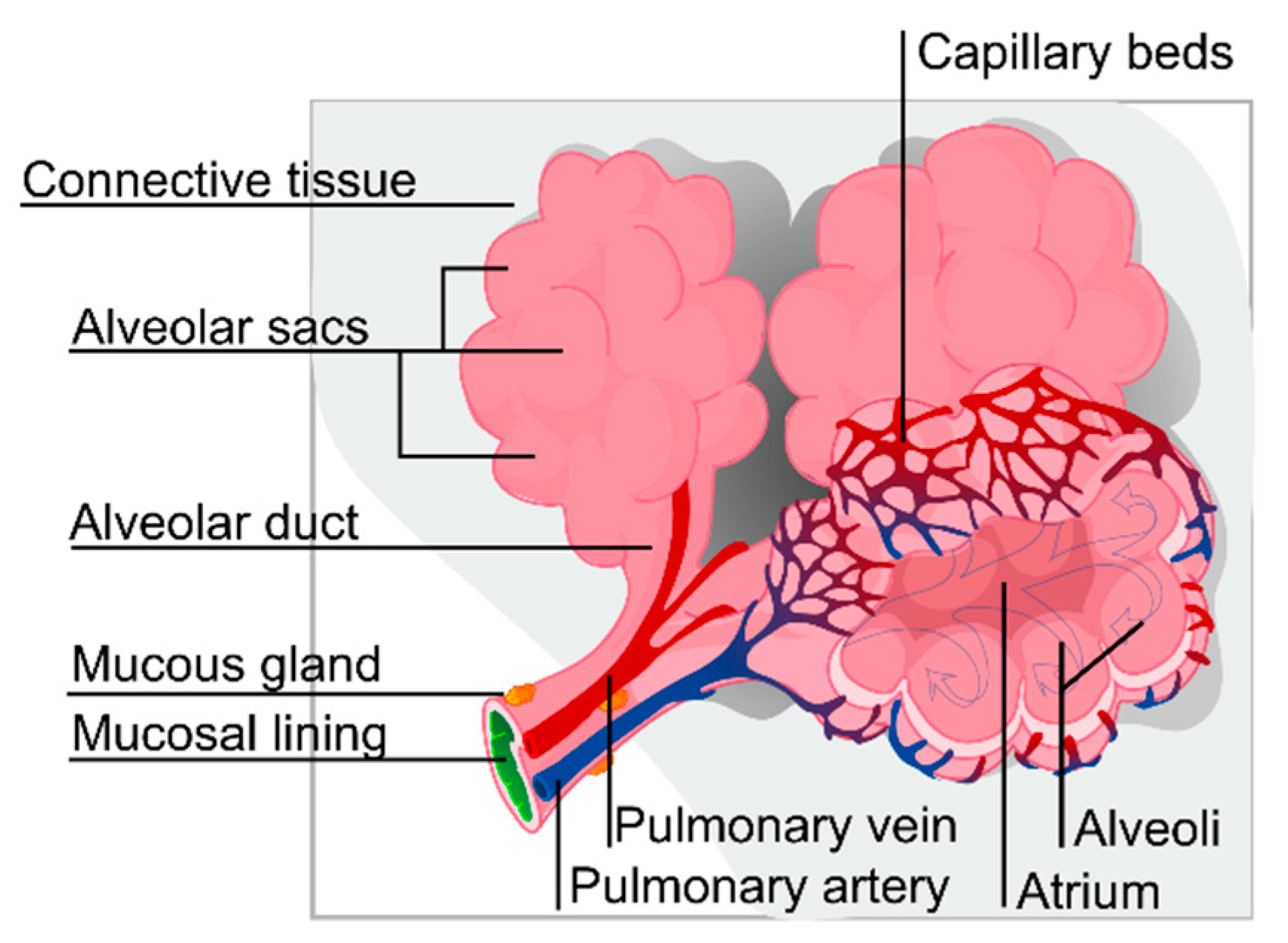 Energies 16 00066 g001