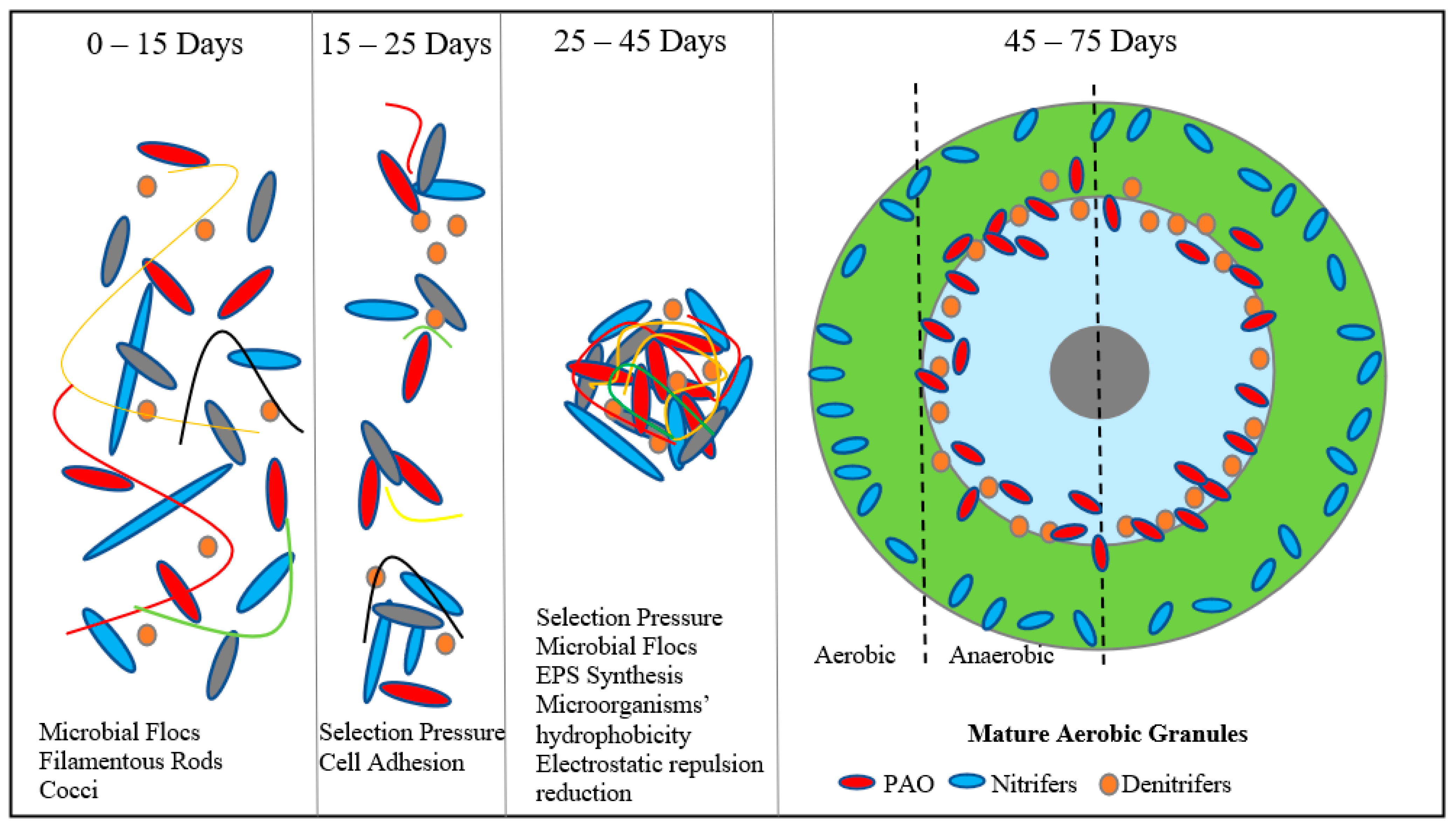 Energies 16 00075 g006