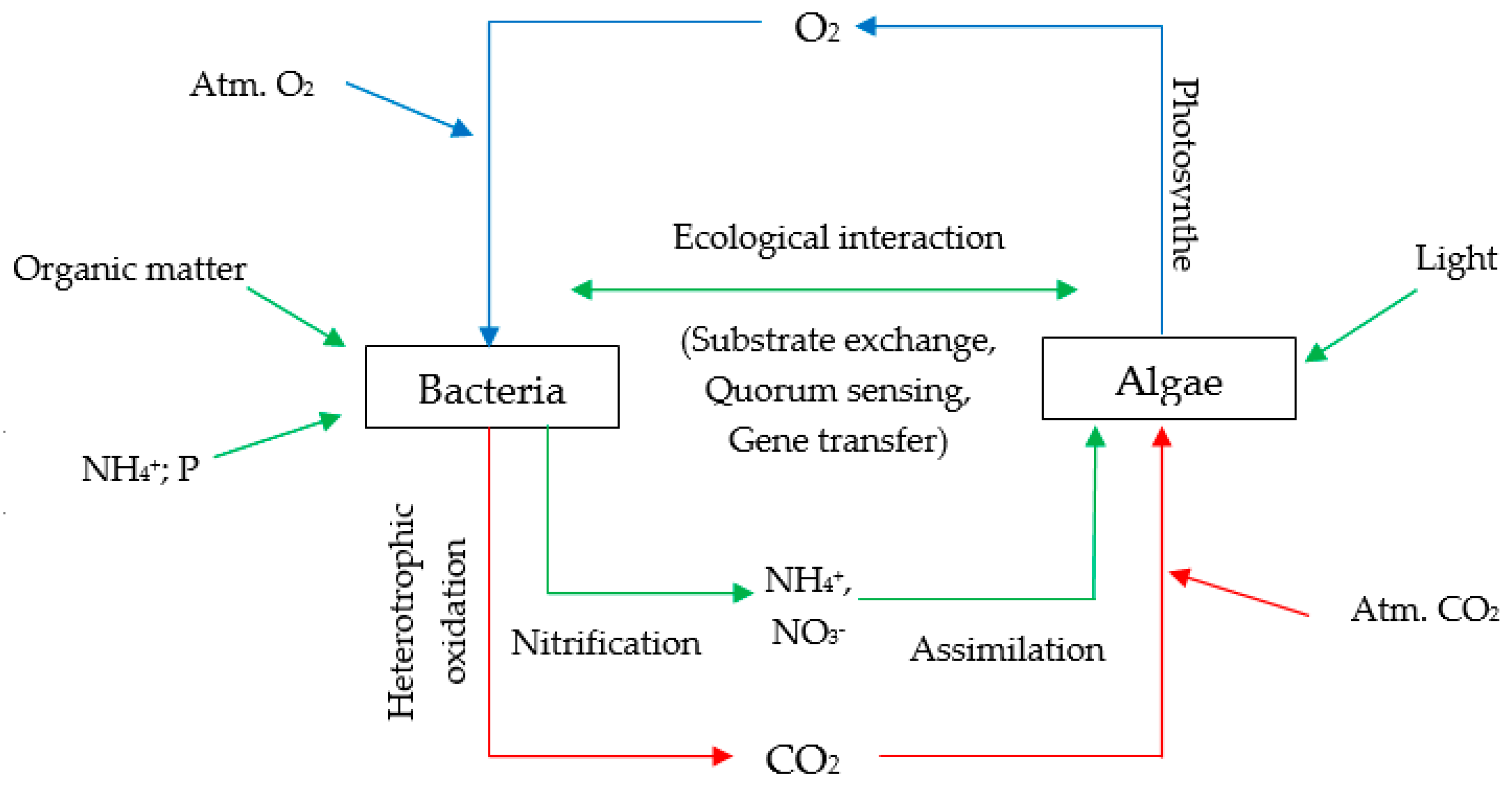 Energies 16 00075 g007