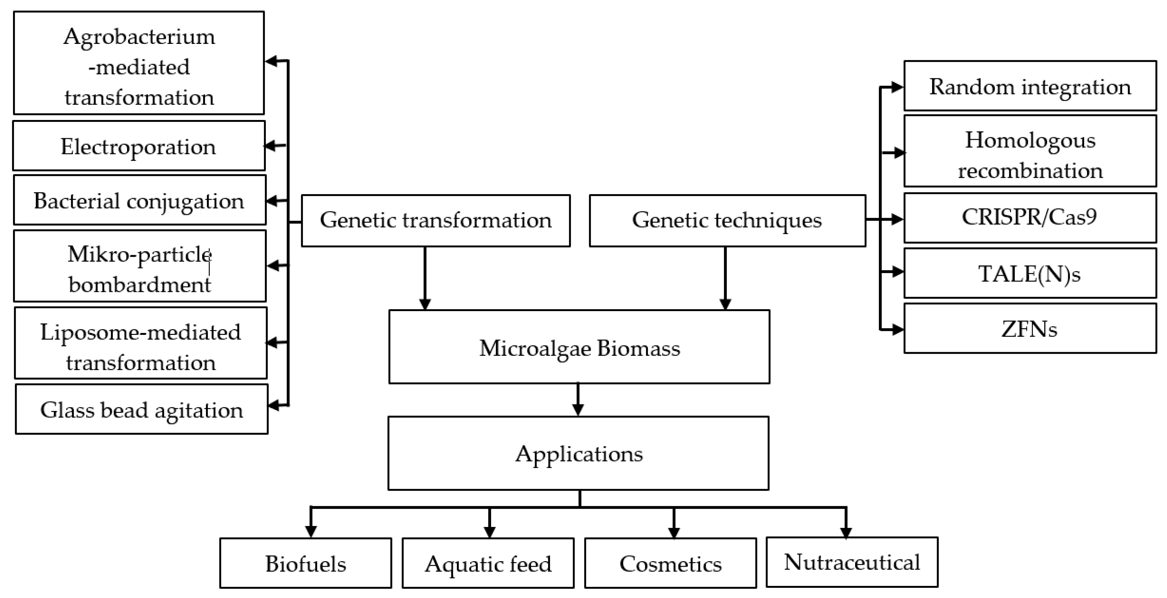 Energies 16 00081 g007 Energies 16 00081 g007