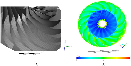 Spatiotemporal Evolution and Fluctuation Characteristics of a ...