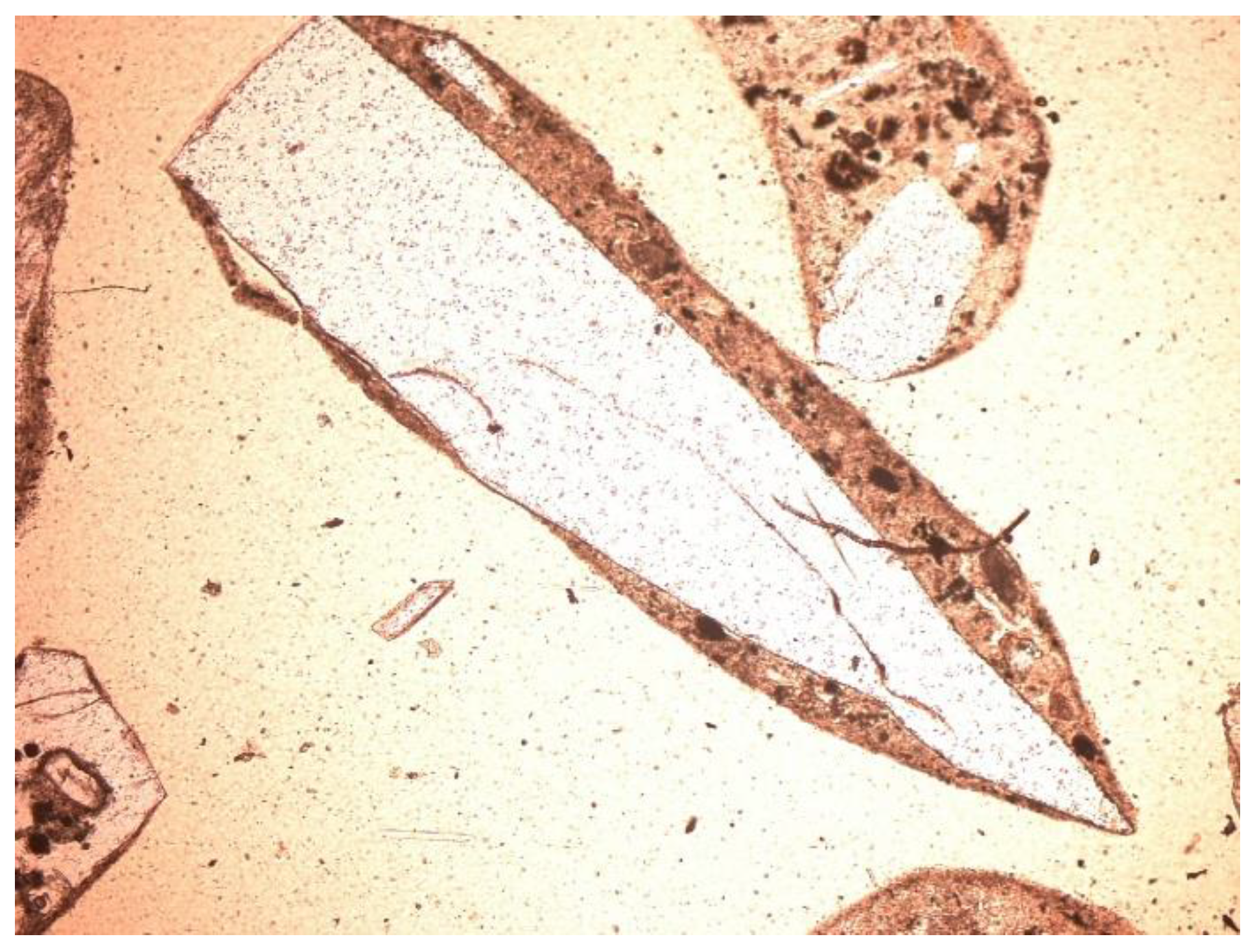 Energies 16 00117 g016 Energies 16 00117 g016