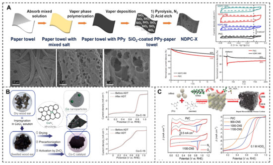 Recent Advances on Heteroatom-Doped Porous Carbon—Based