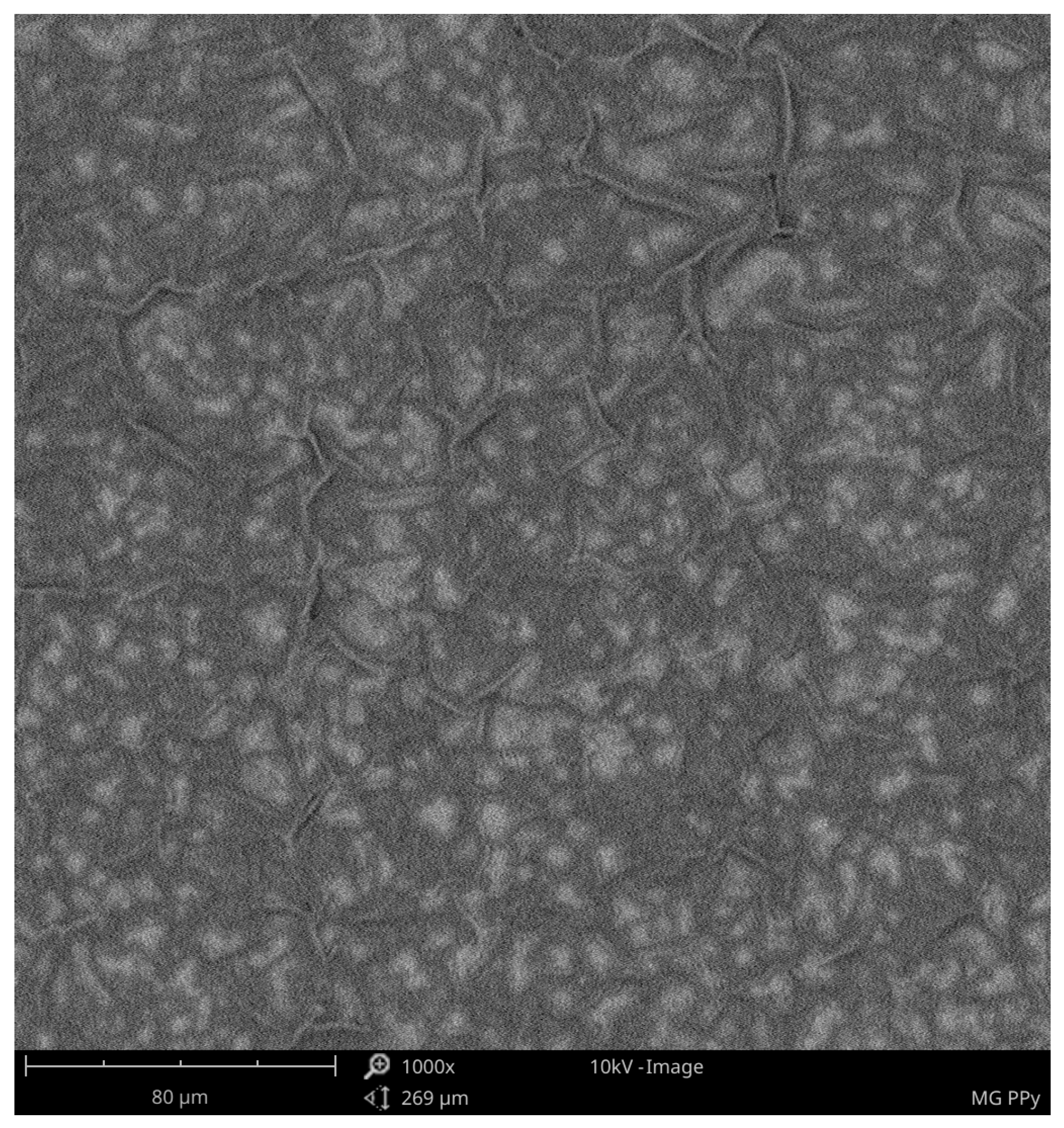 Energies 16 00306 g005 Energies 16 00306 g005