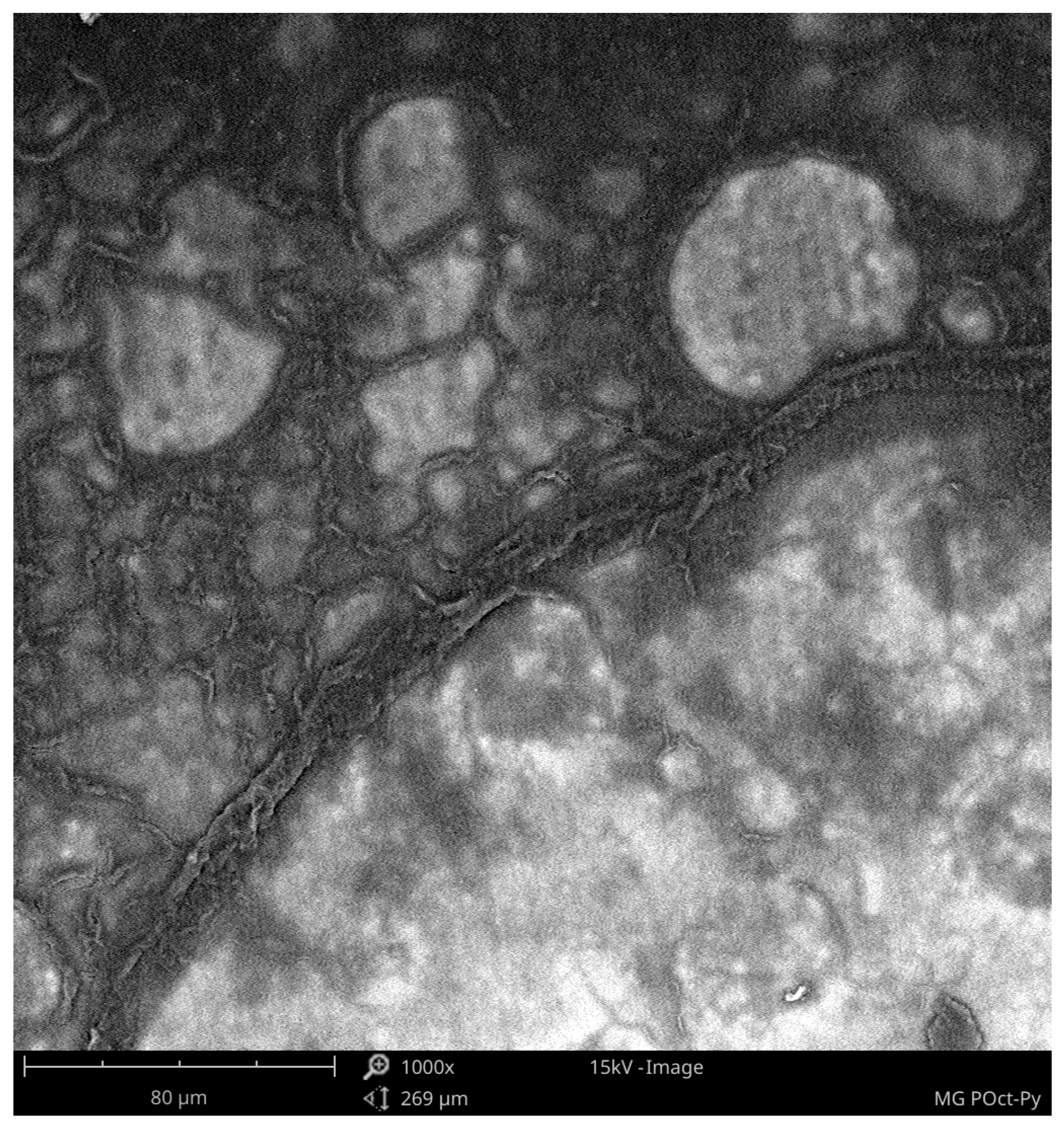 Energies 16 00306 g006 Energies 16 00306 g006