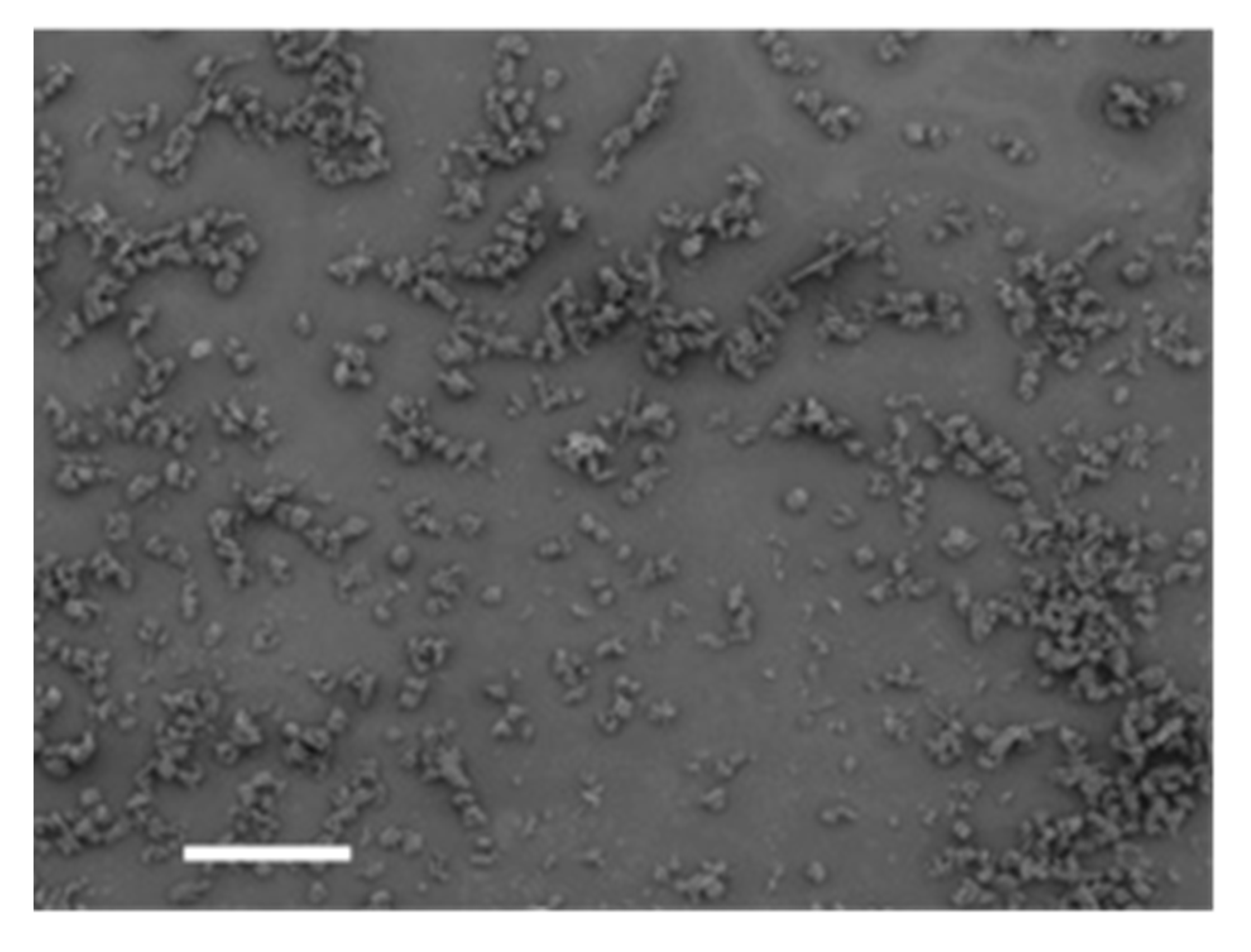 Energies 16 00315 g002