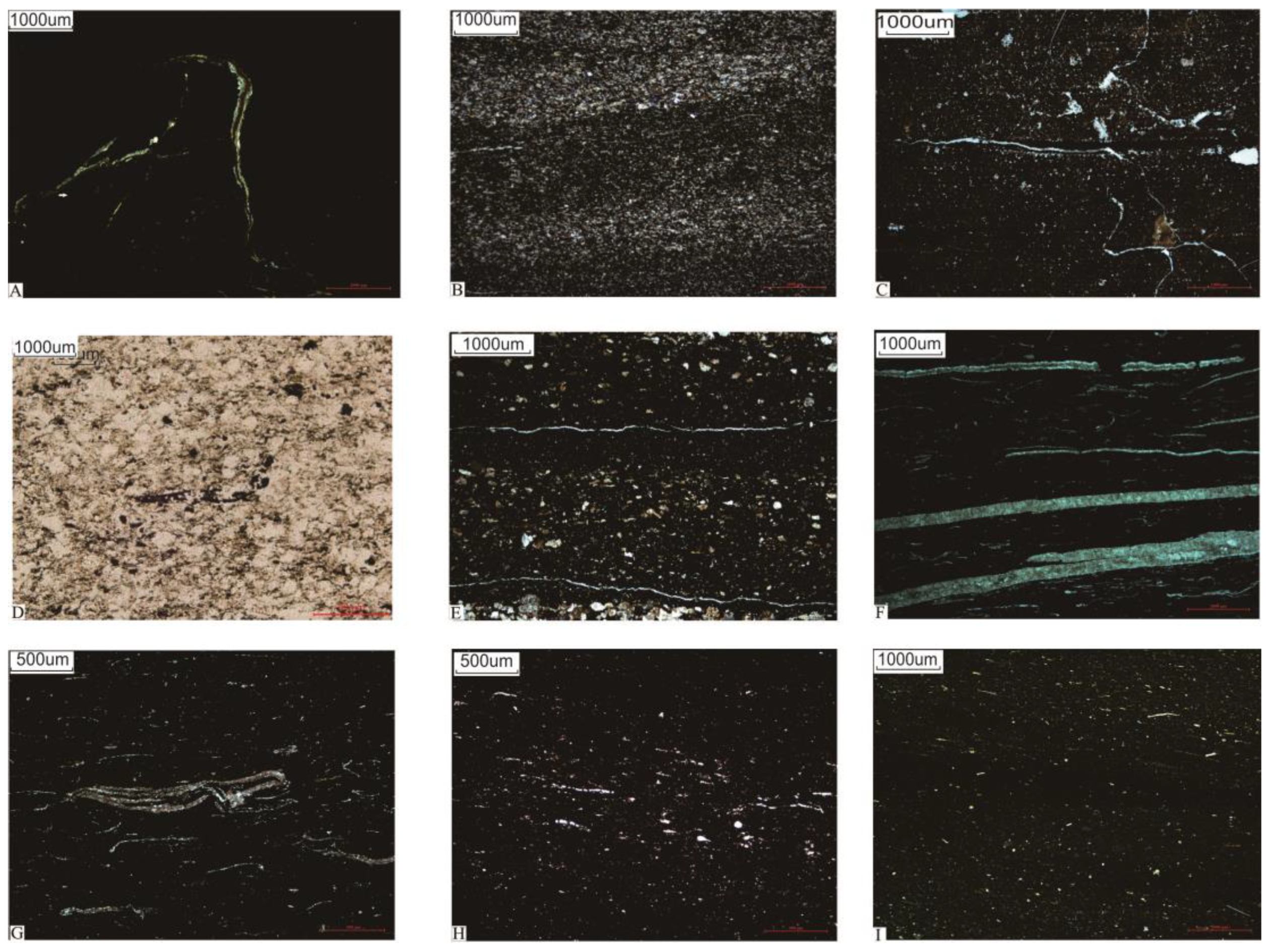 Energies 16 00349 g002