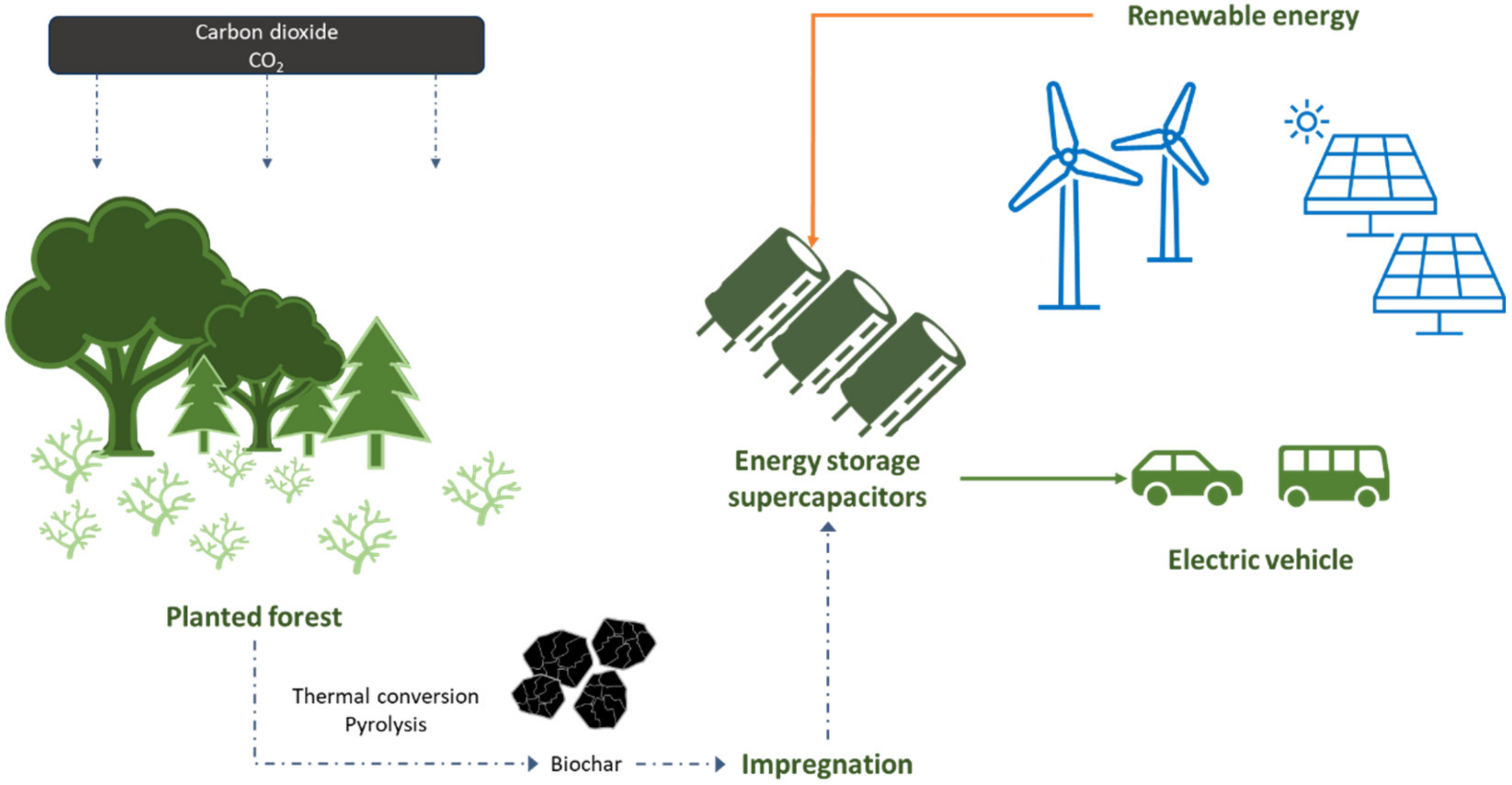 Actual Trends in the Usability of Biochar as a High-Value