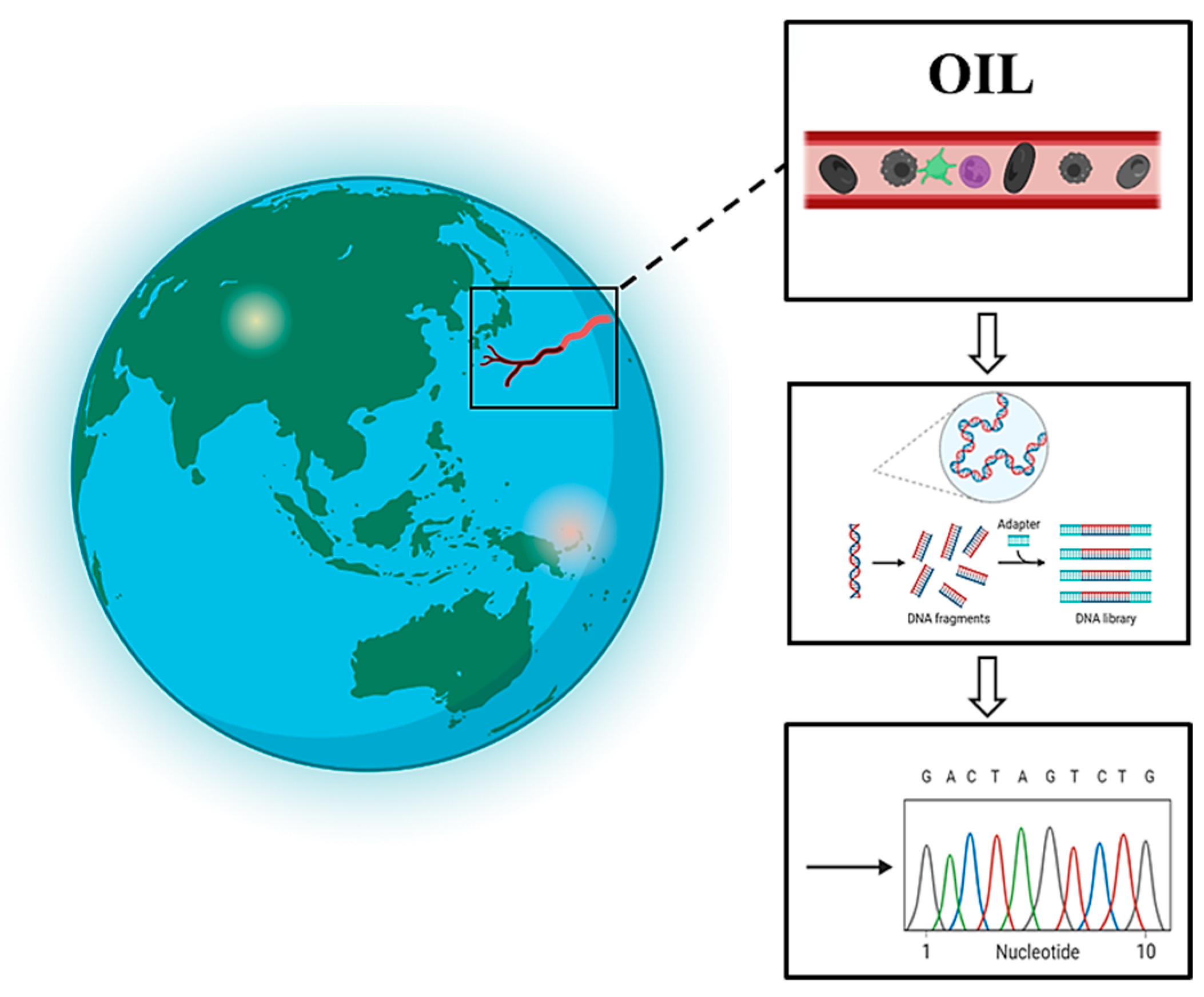 Energies 16 00358 g001