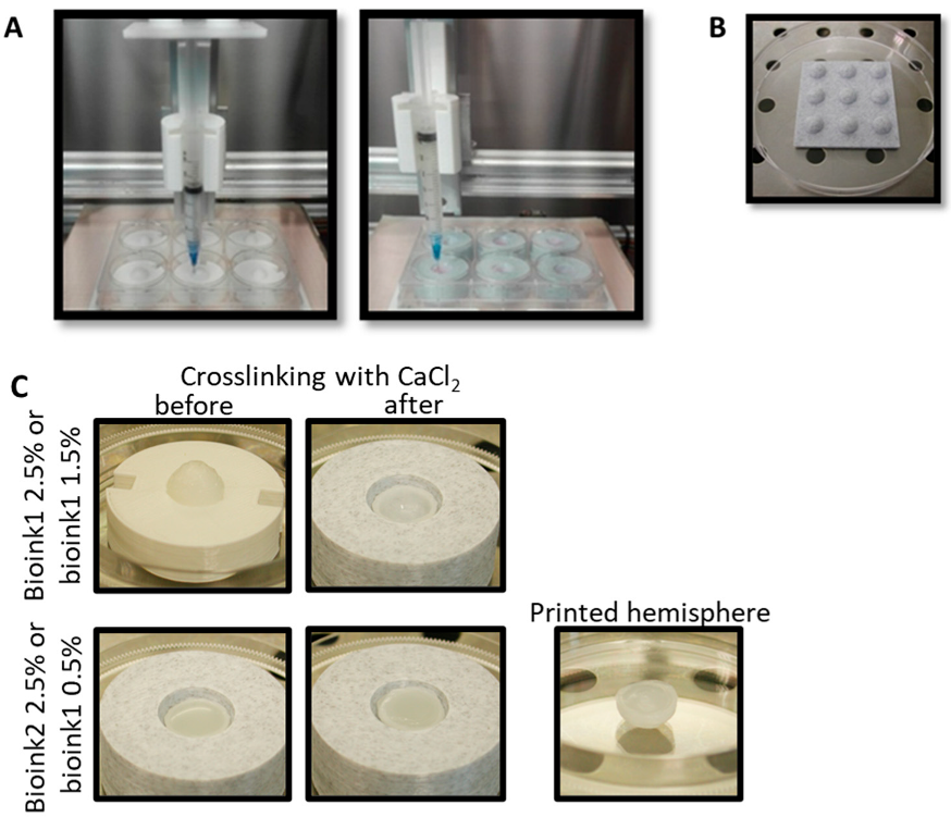 Energies 16 00374 g005
