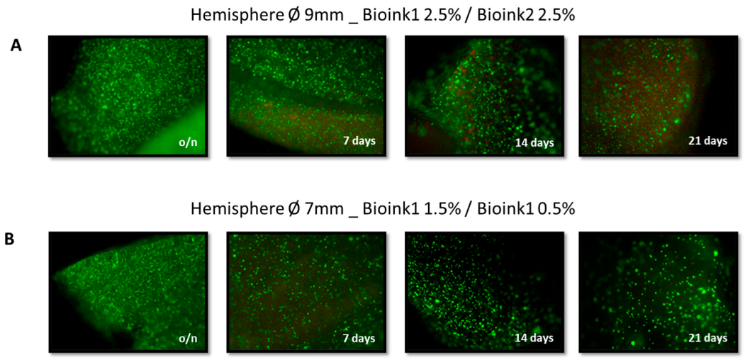 Energies 16 00374 g006