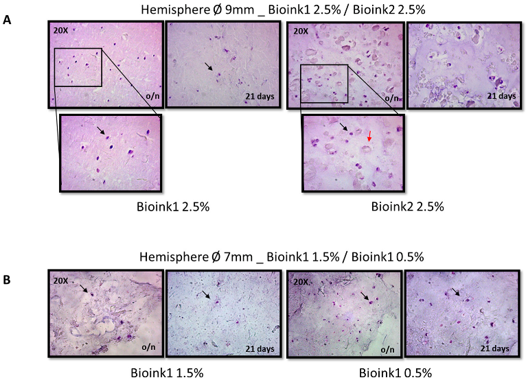 Energies 16 00374 g007