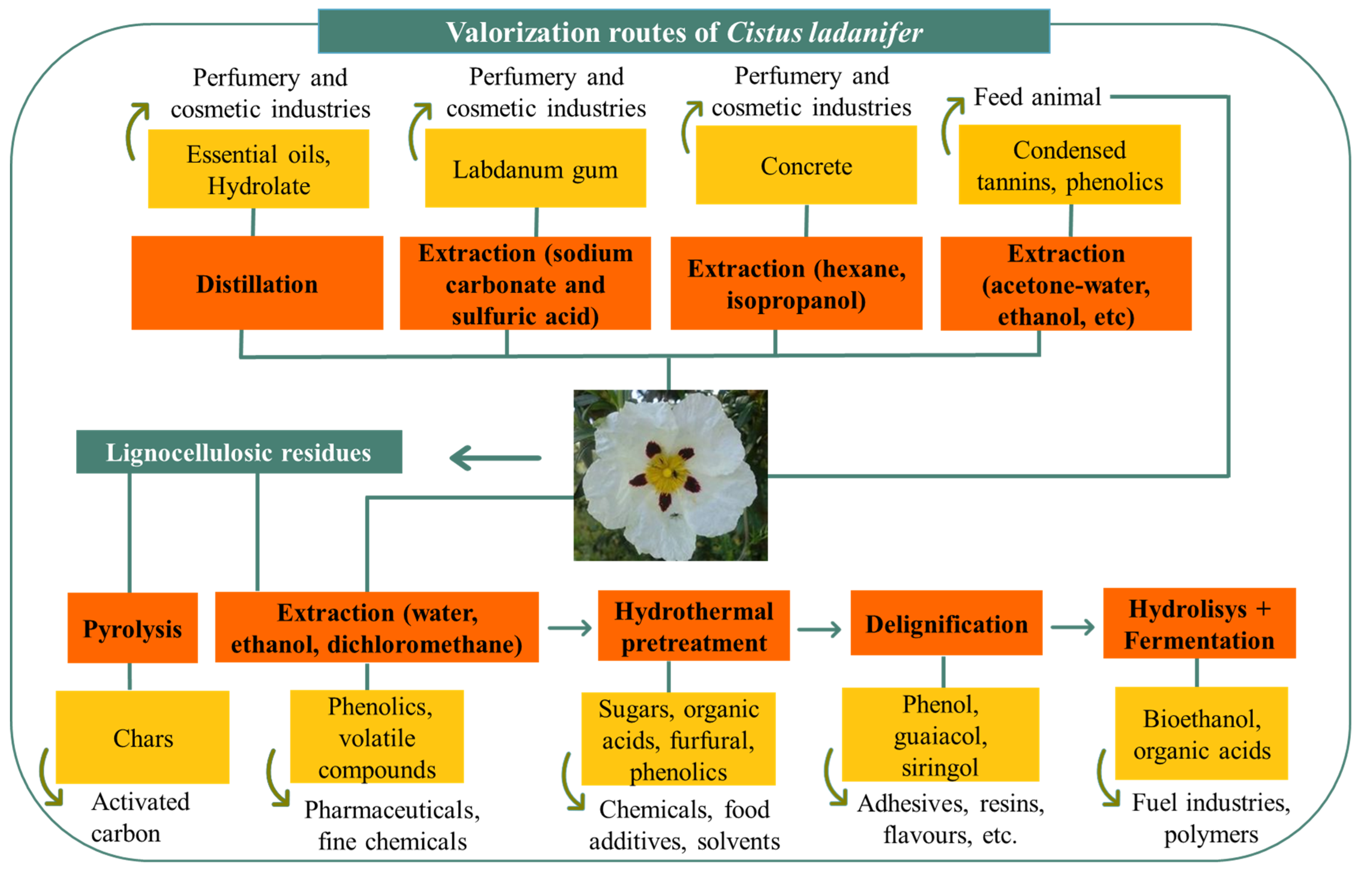 Energies 16 00391 g003