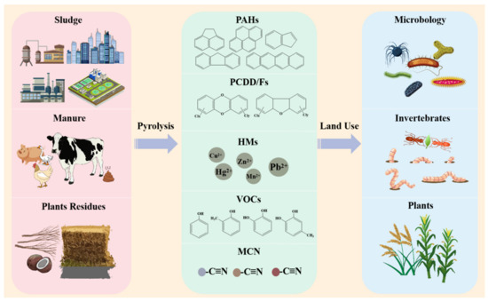 Biochar Acts as an Emerging Soil Amendment and Its Potential