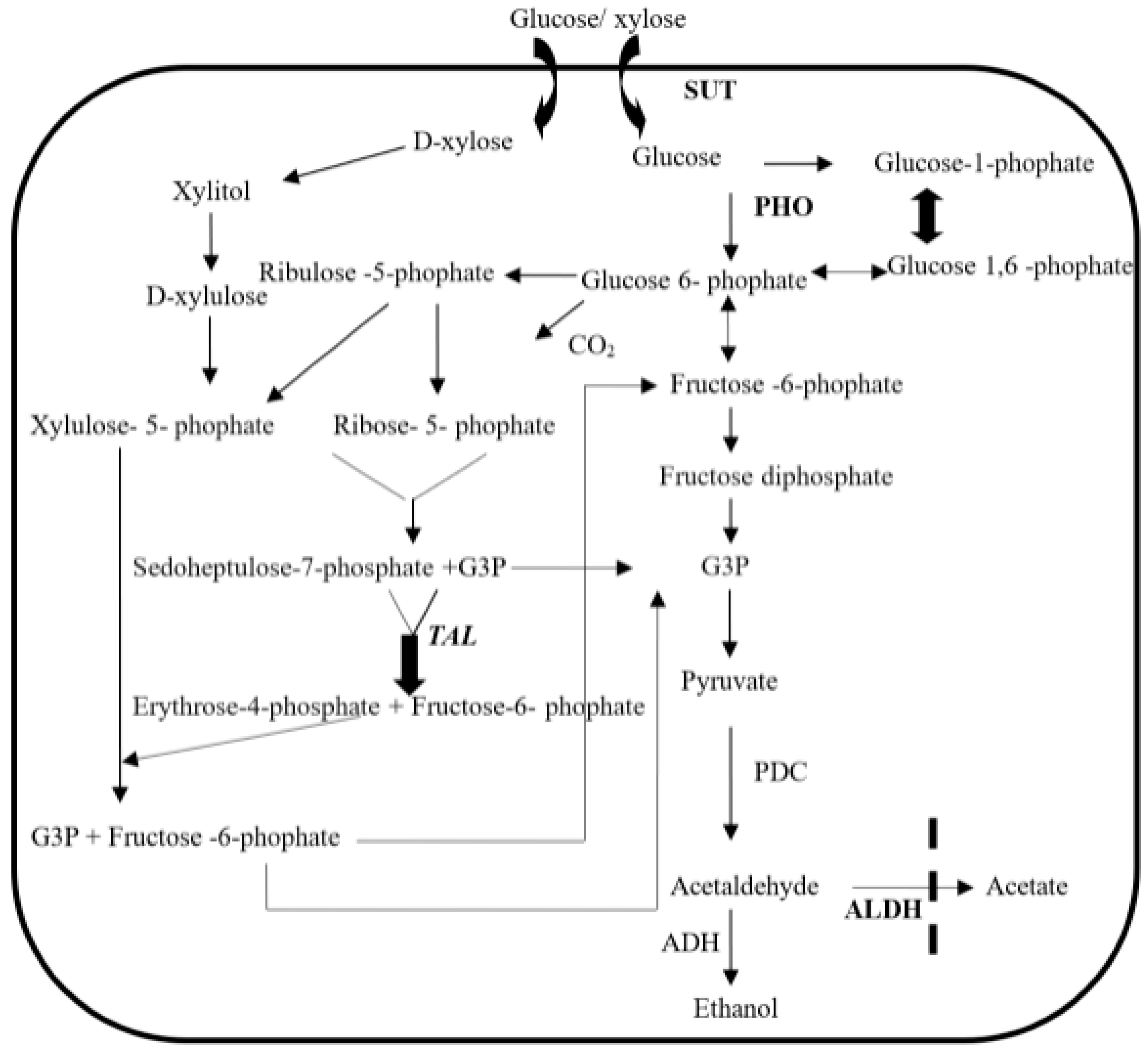 Energies 16 00427 g001