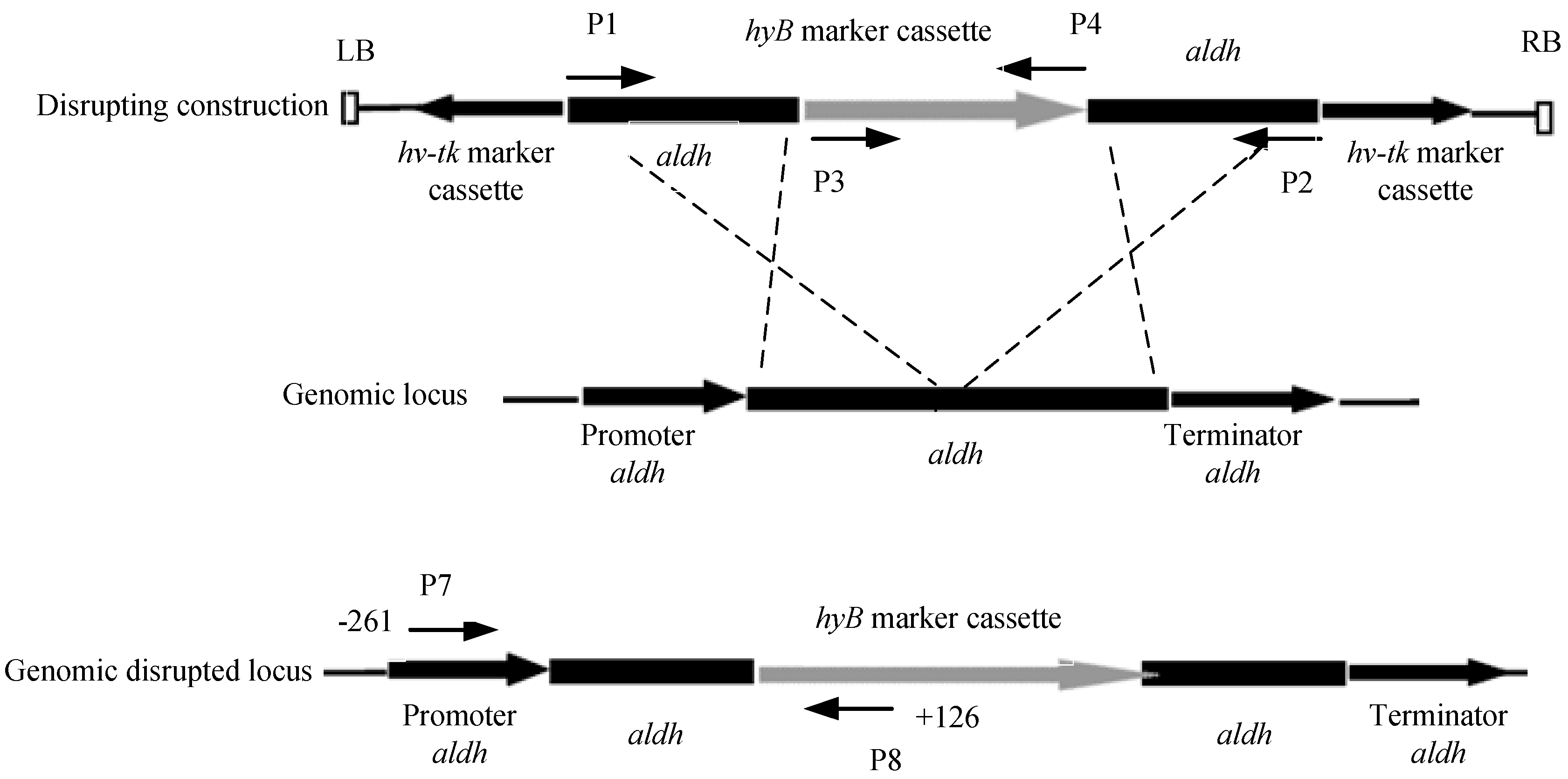 Energies 16 00427 g003 Energies 16 00427 g003