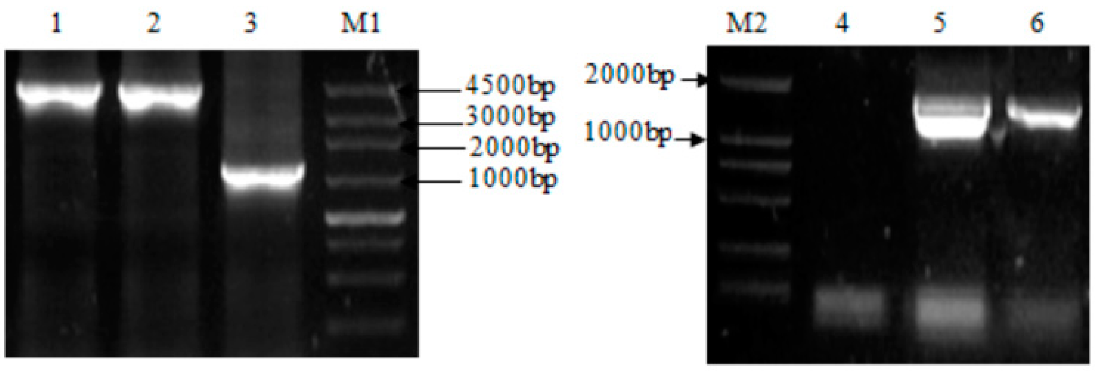 Energies 16 00427 g004 Energies 16 00427 g004