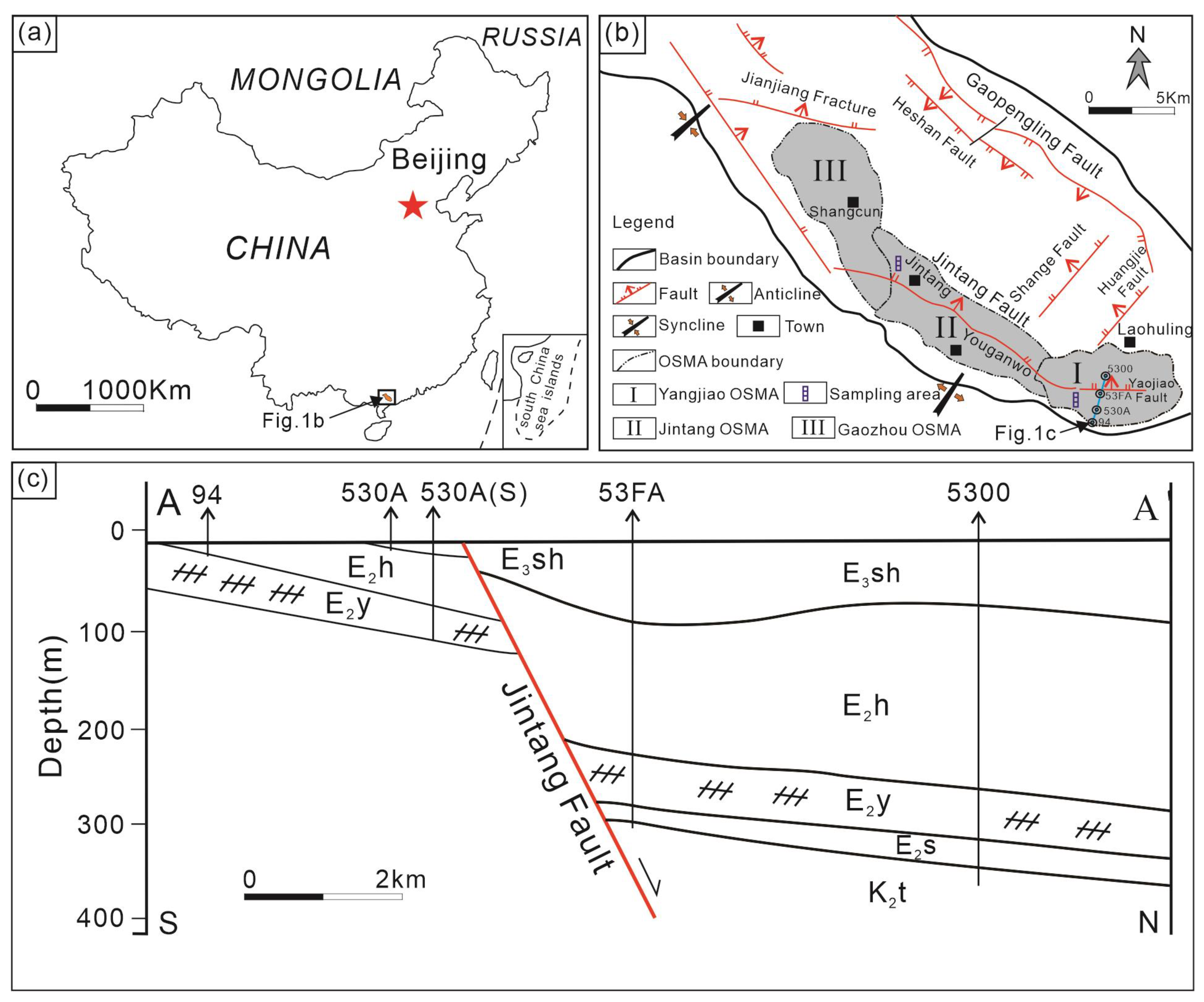 Petrology, Mineralogy, and Geochemical Characterization of Paleogene Oil Shales of the Youganwo Formation in the Maoming Basin, Southern China: Implication for Source Rock Evaluation, Provenance, Paleoweathering and Maturity Petrology, Mineralogy, and Geochemical Characterization of Paleogene Oil Shales of the Youganwo Formation in the Maoming Basin, Southern China: Implication for Source Rock Evaluation, Provenance, Paleoweathering and Maturity