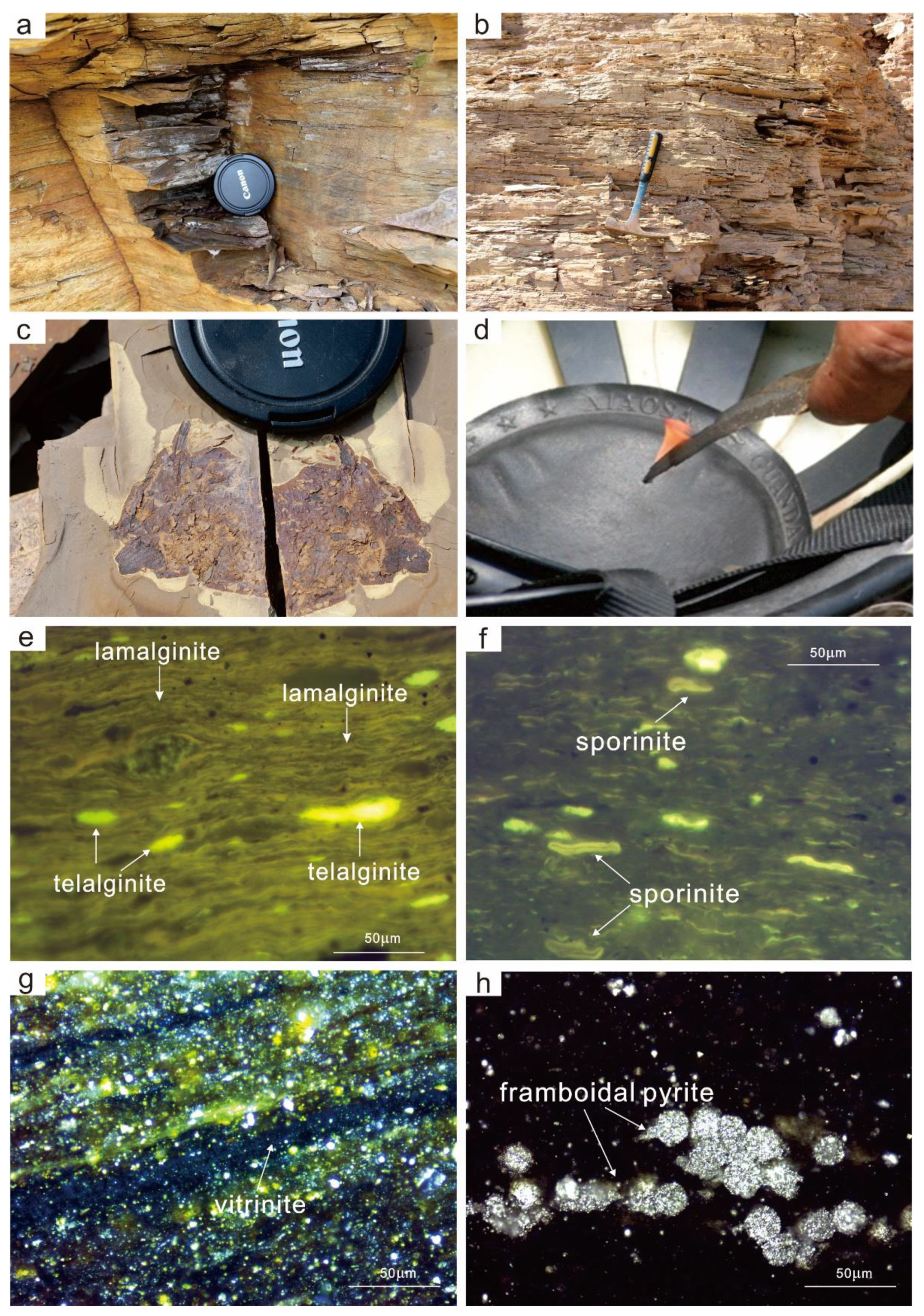 Energies 16 00514 g003