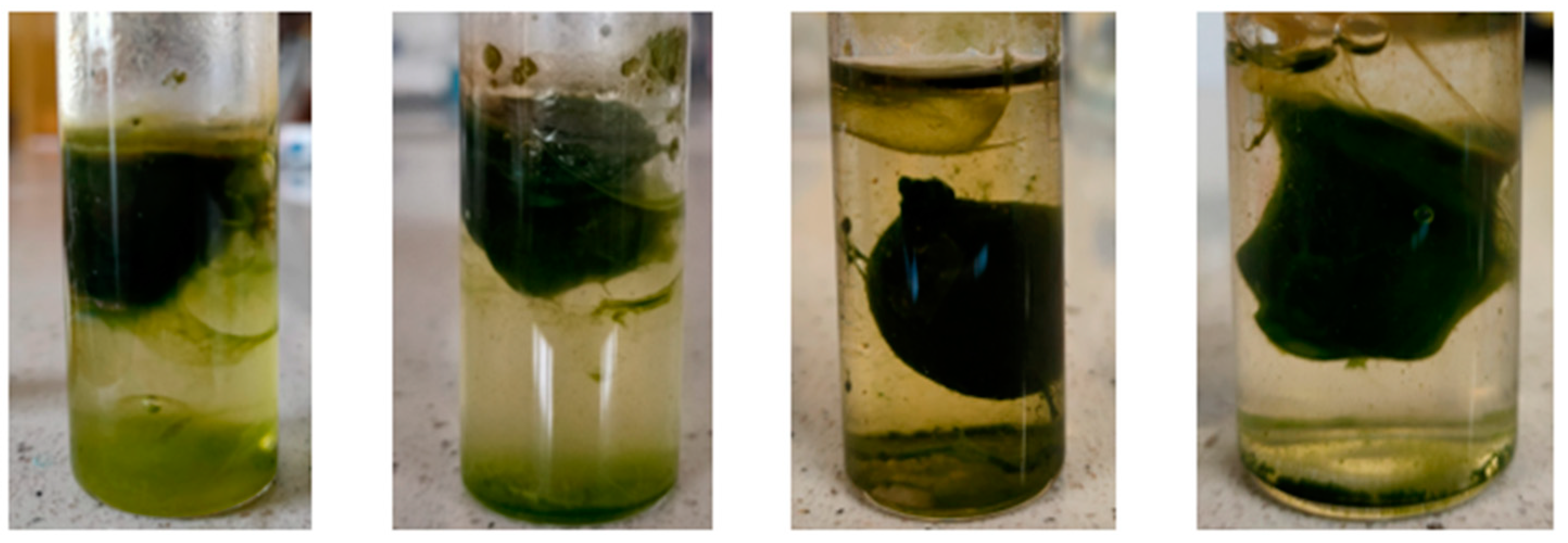 Energies 16 00523 g001 Energies 16 00523 g001