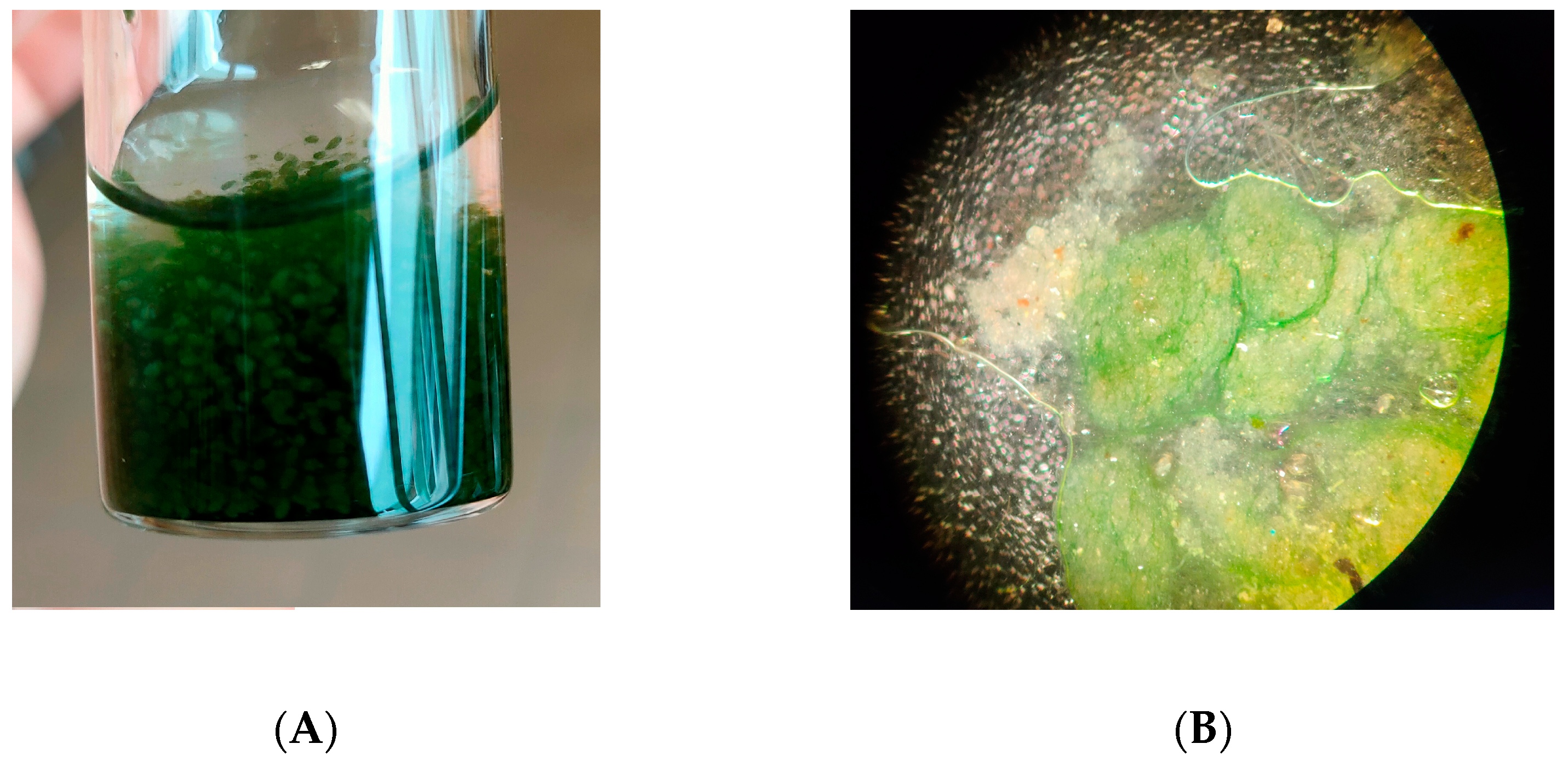 Energies 16 00523 g002 Energies 16 00523 g002