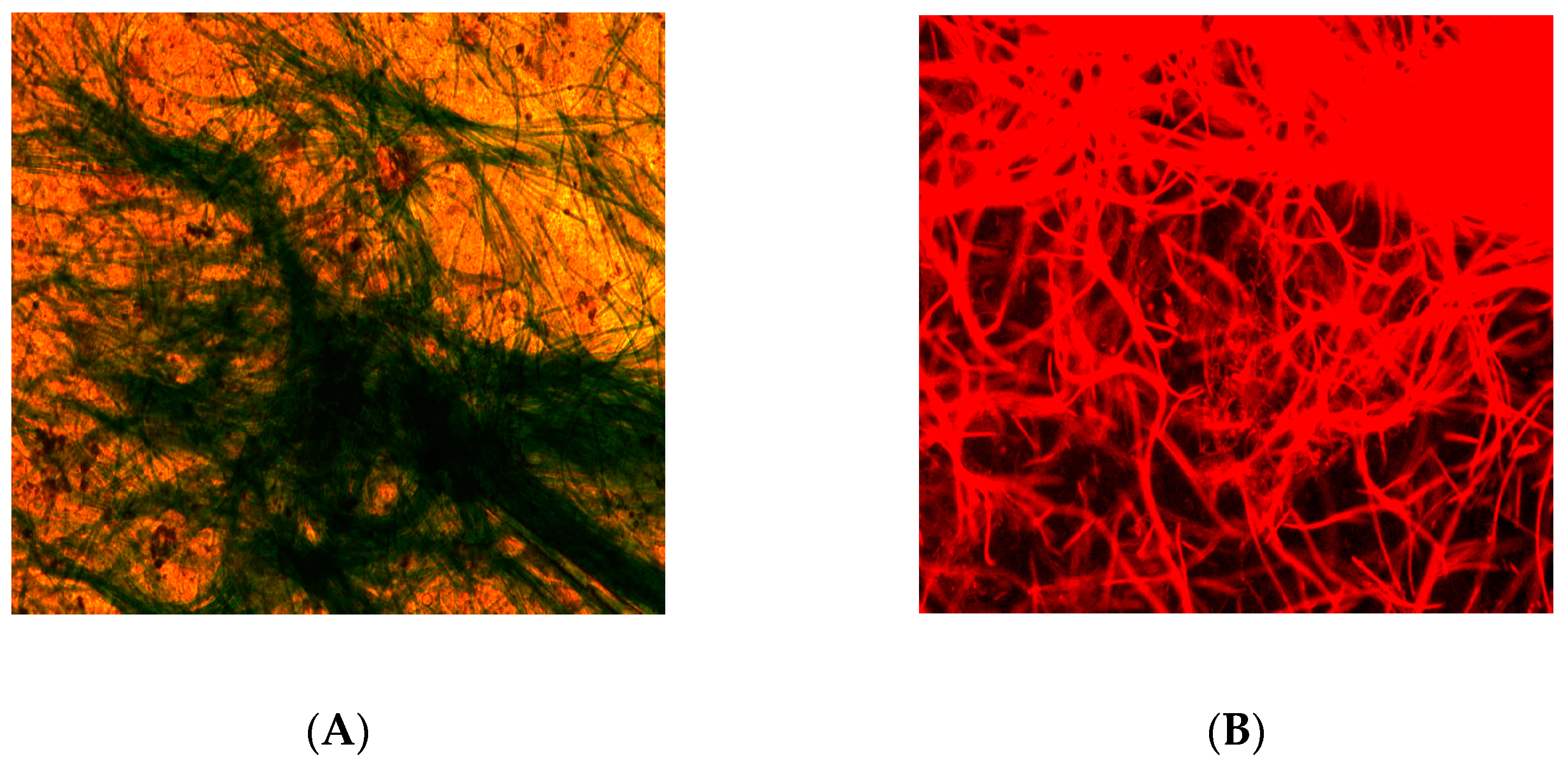 Energies 16 00523 g003 Energies 16 00523 g003