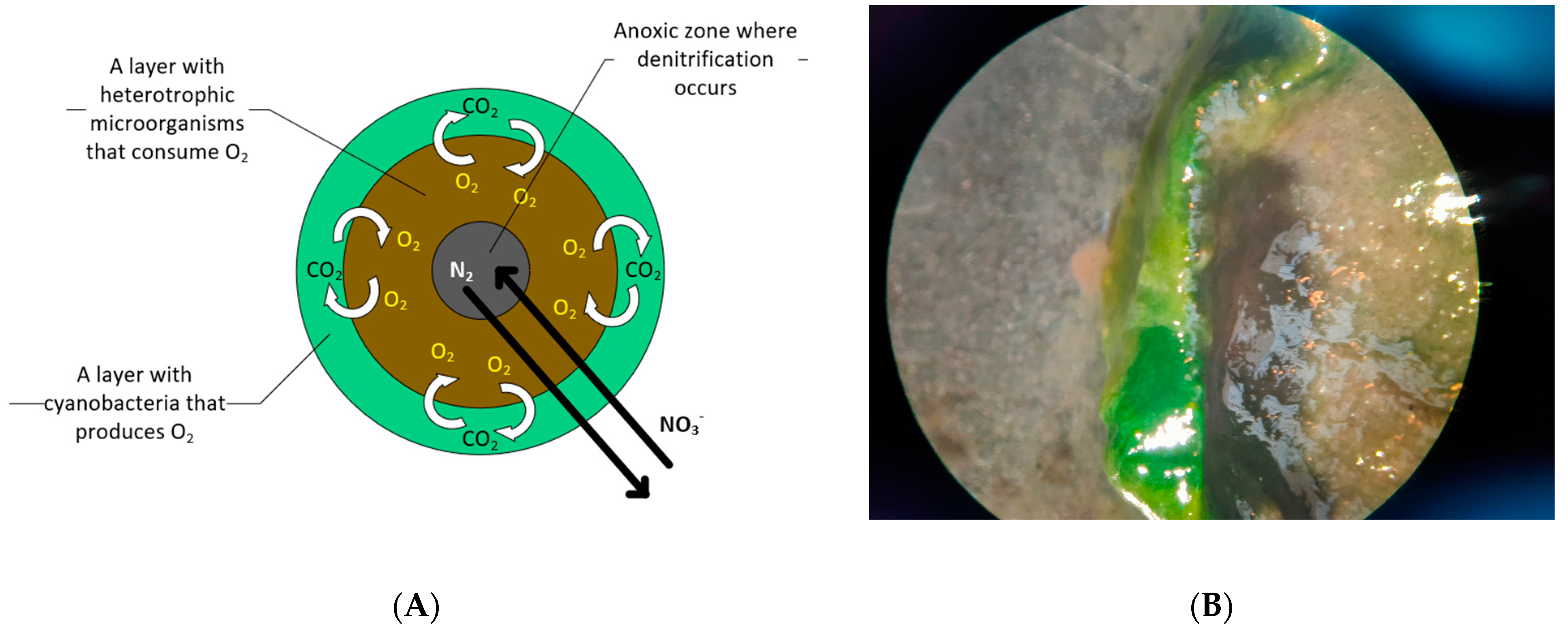 Energies 16 00523 g004 Energies 16 00523 g004