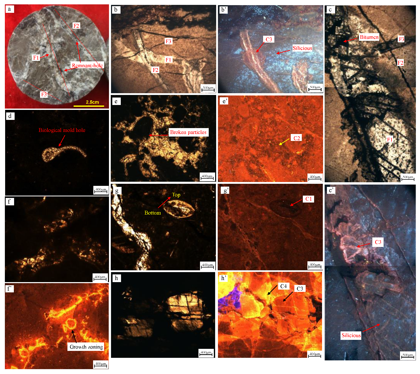 Energies 16 00579 g002 Energies 16 00579 g002