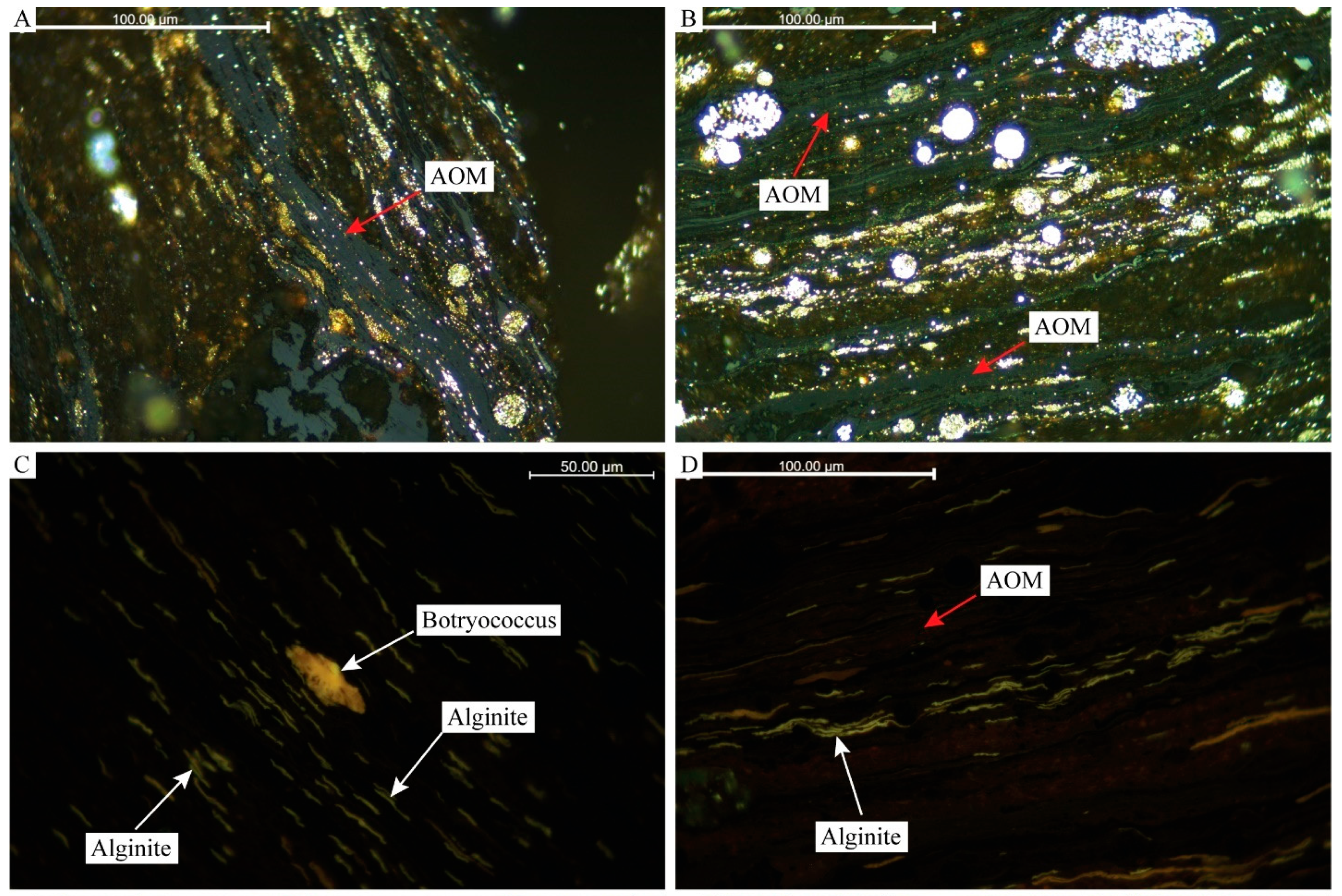 Energies 16 00636 g004a Energies 16 00636 g004a