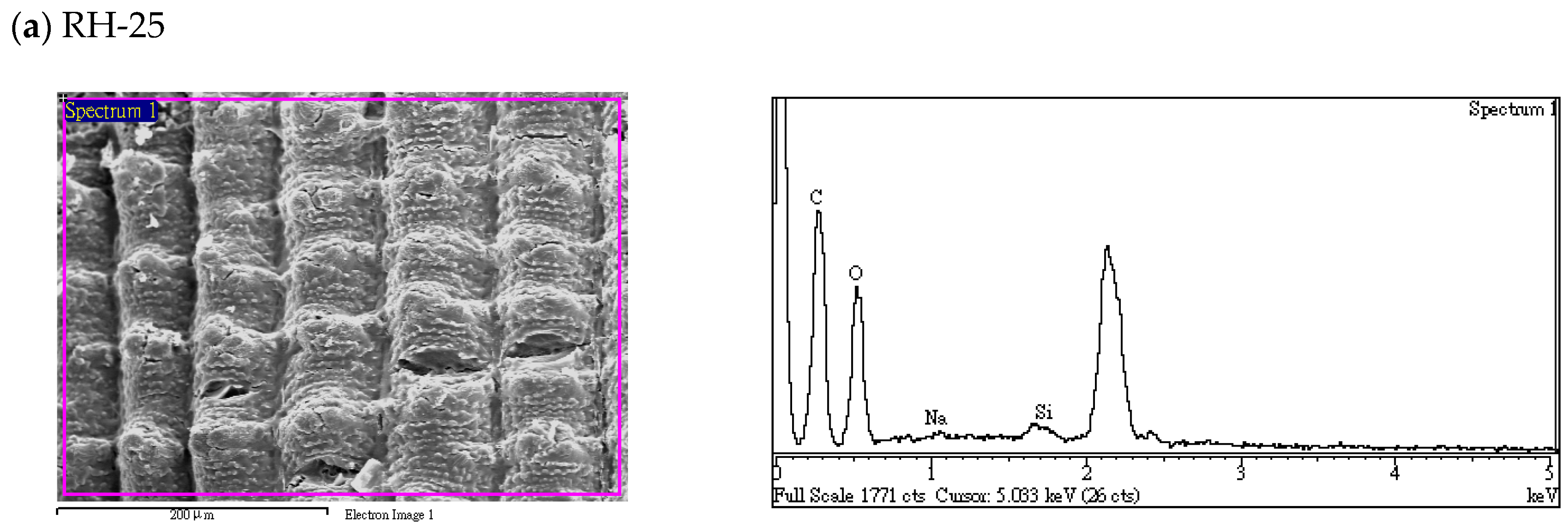 Energies 16 00679 g005a Energies 16 00679 g005a