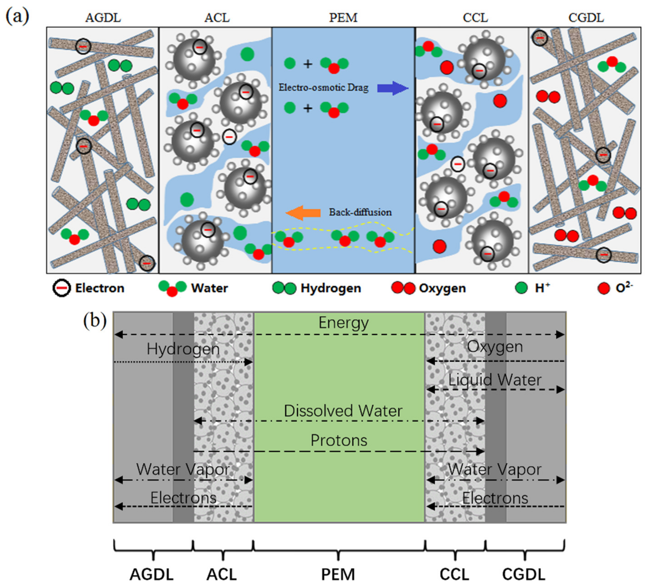 Energies 16 00697 g002 Energies 16 00697 g002