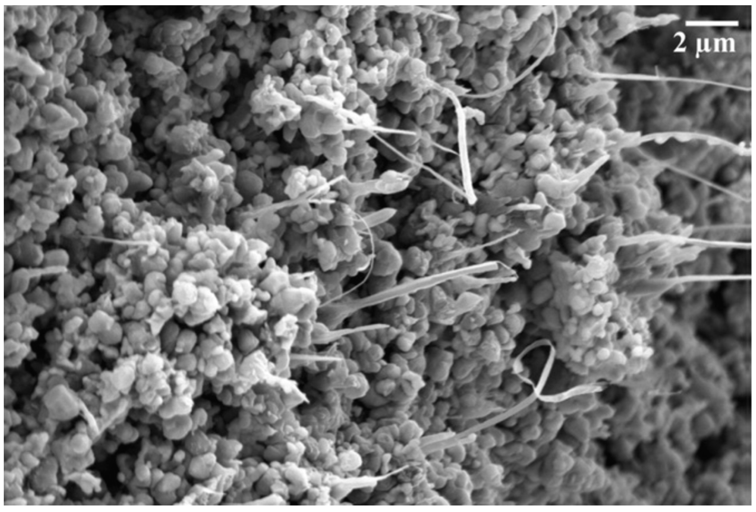 Energies 16 00788 g006 Energies 16 00788 g006