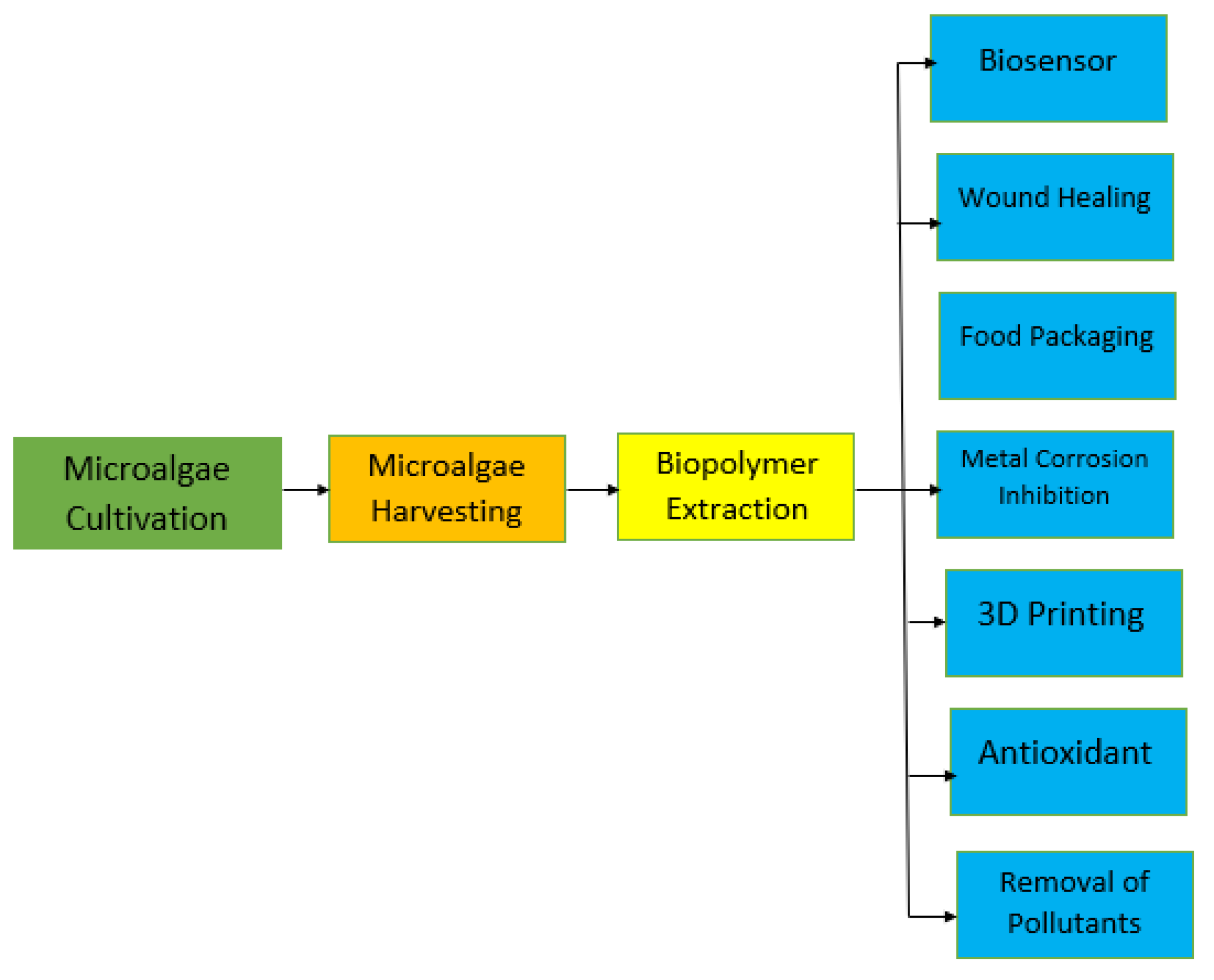 Functional Biochar and Its Balanced Design | ACS