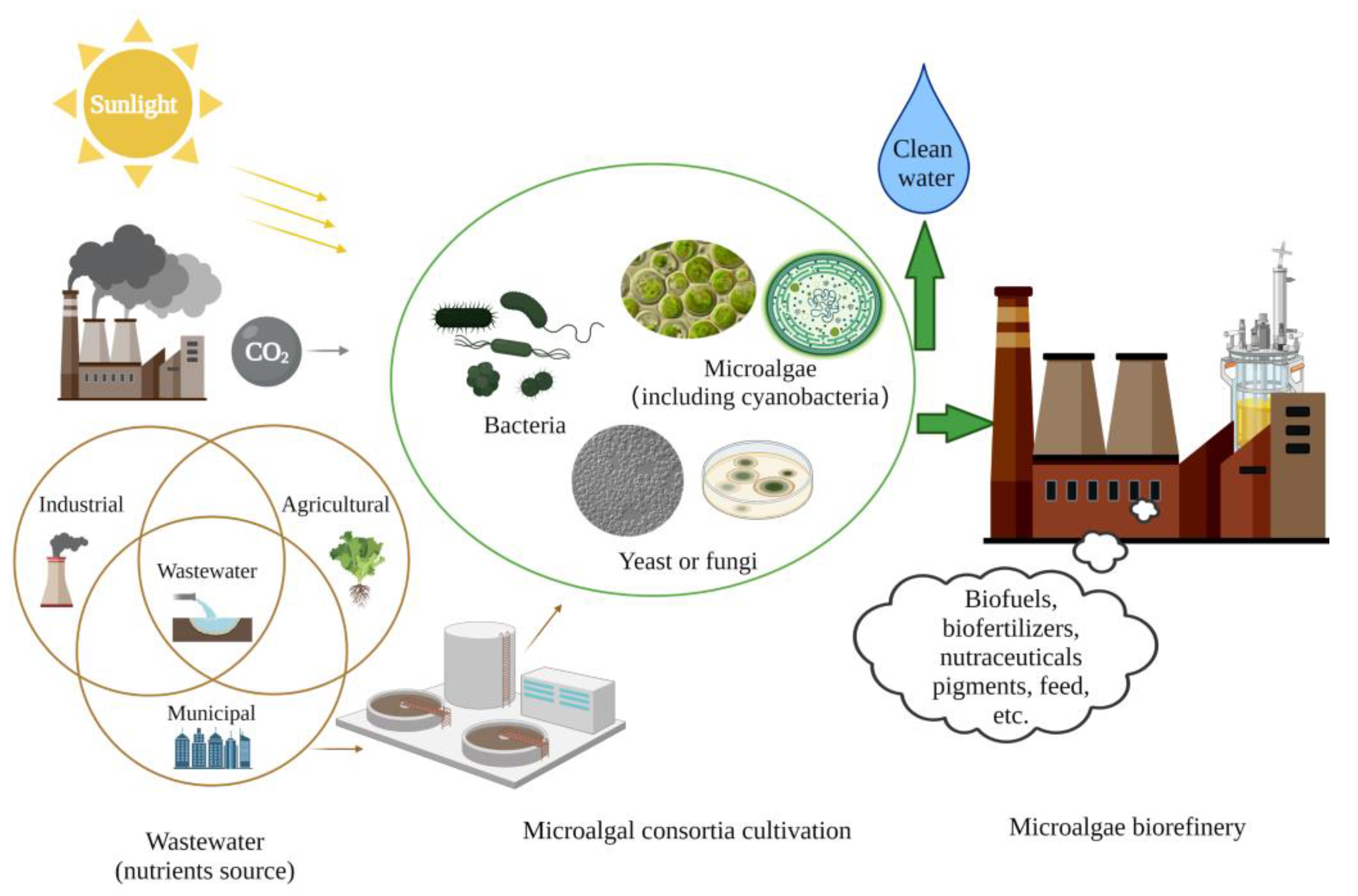 Energies 16 00884 g002