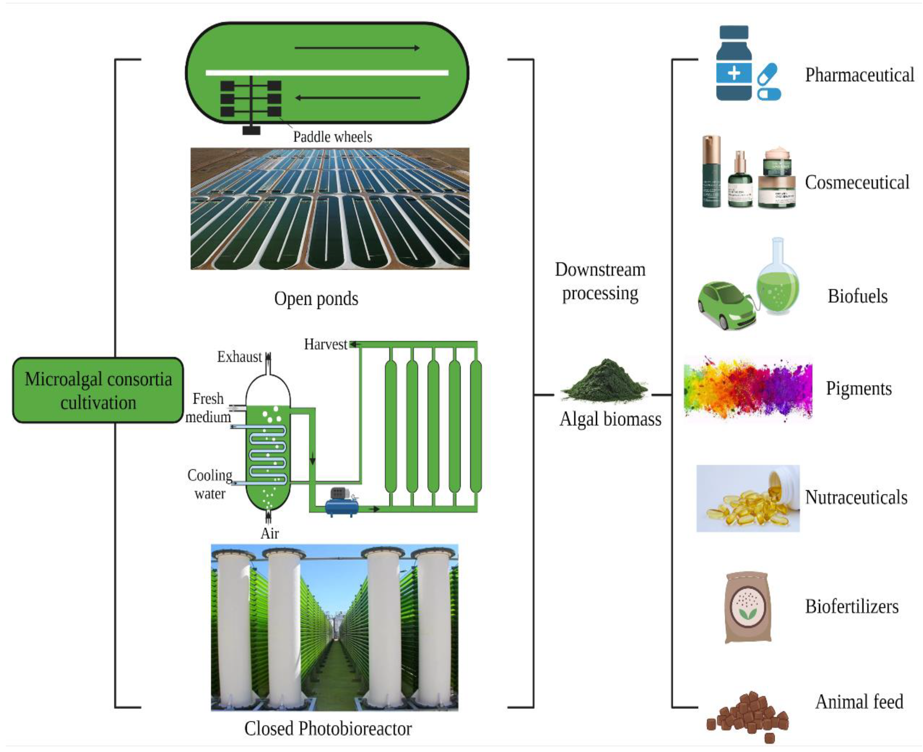 Energies 16 00884 g004