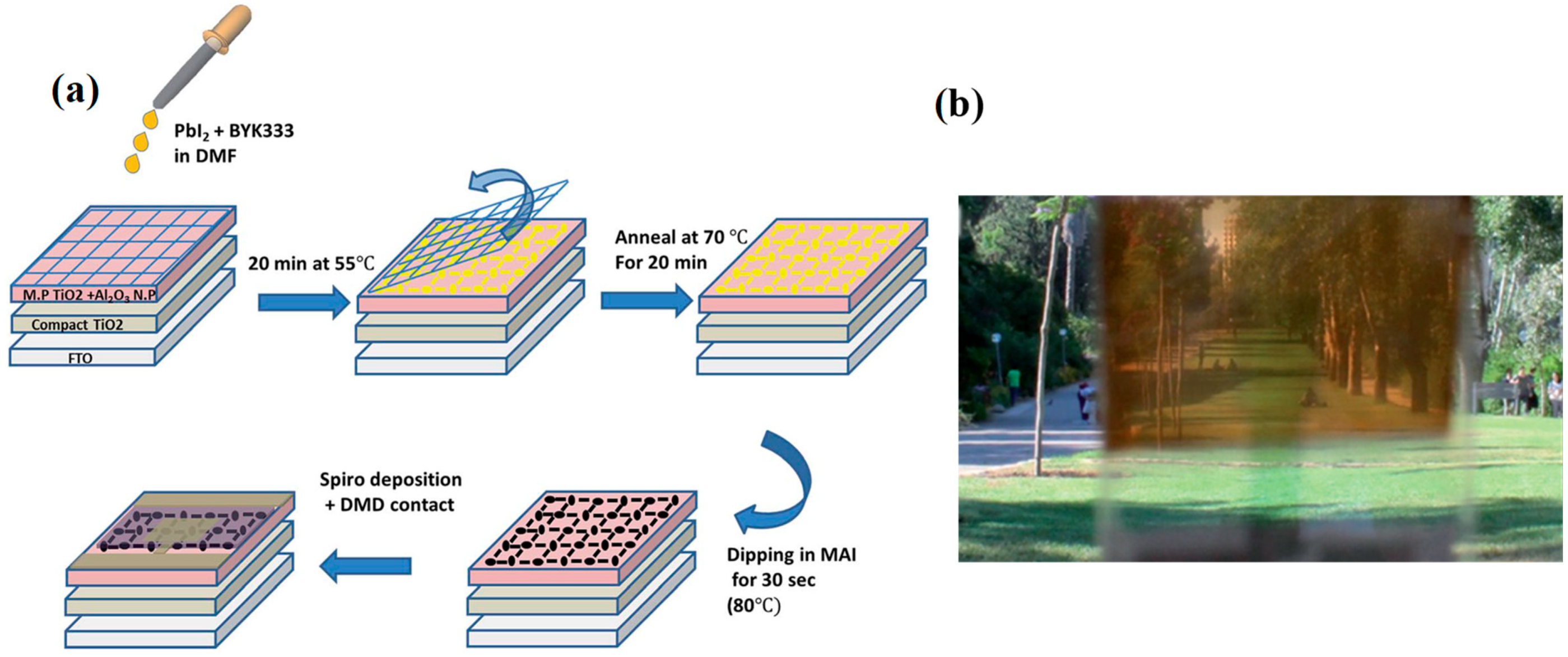 Energies 16 00889 g003
