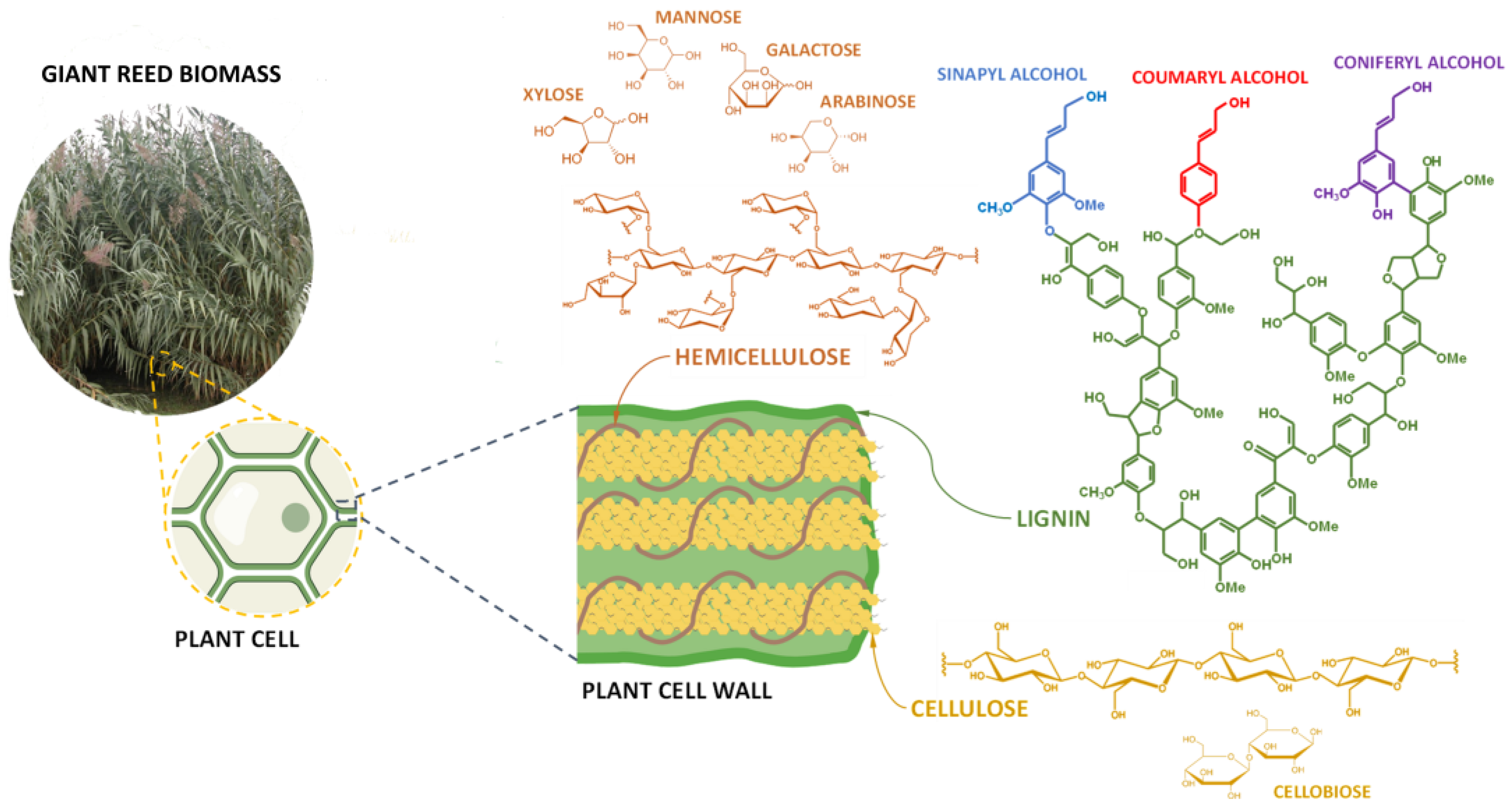 Energies 16 00949 g001