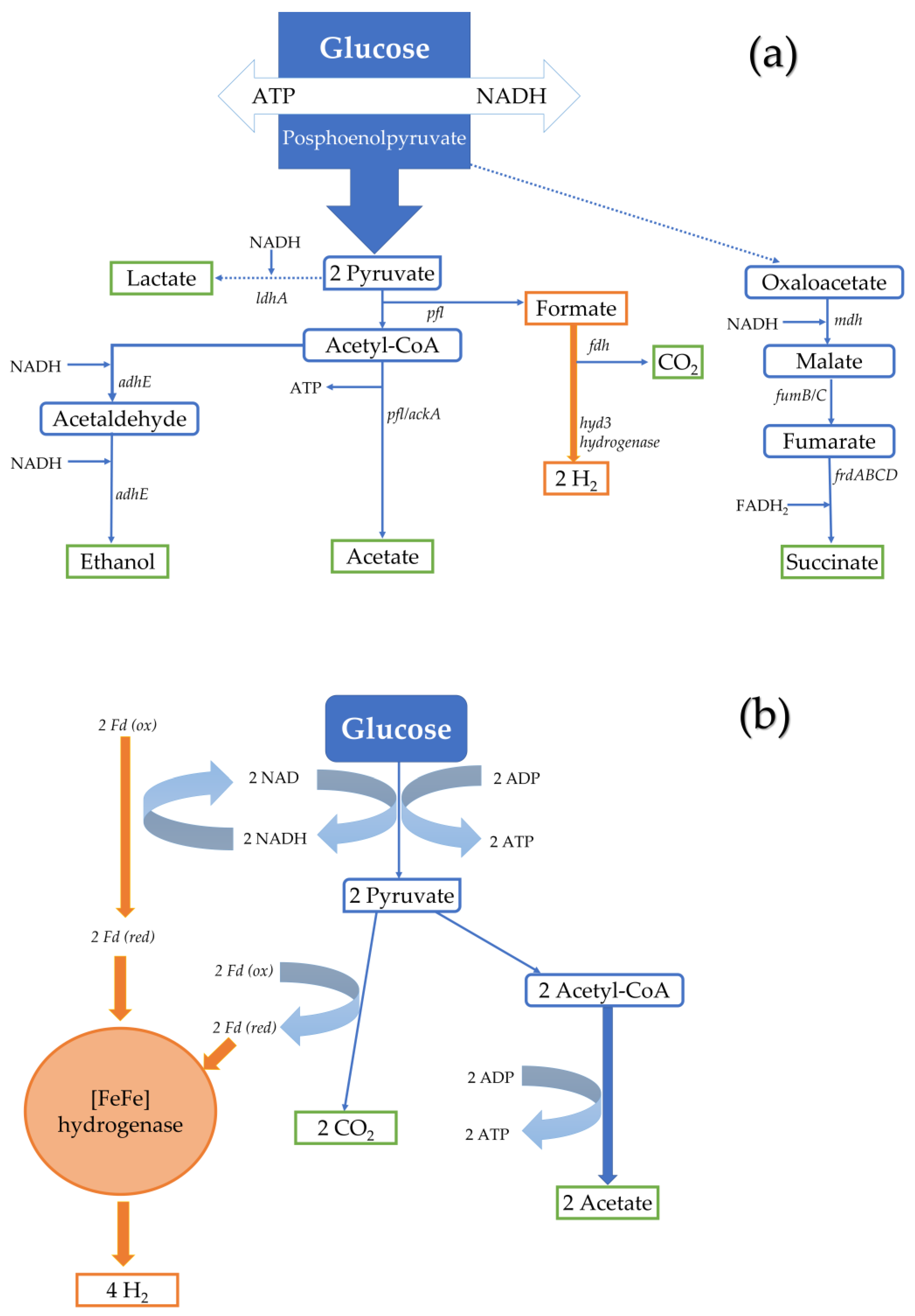 Energies 16 00949 g004