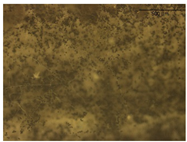 Energies 16 00989 i003 Energies 16 00989 i003