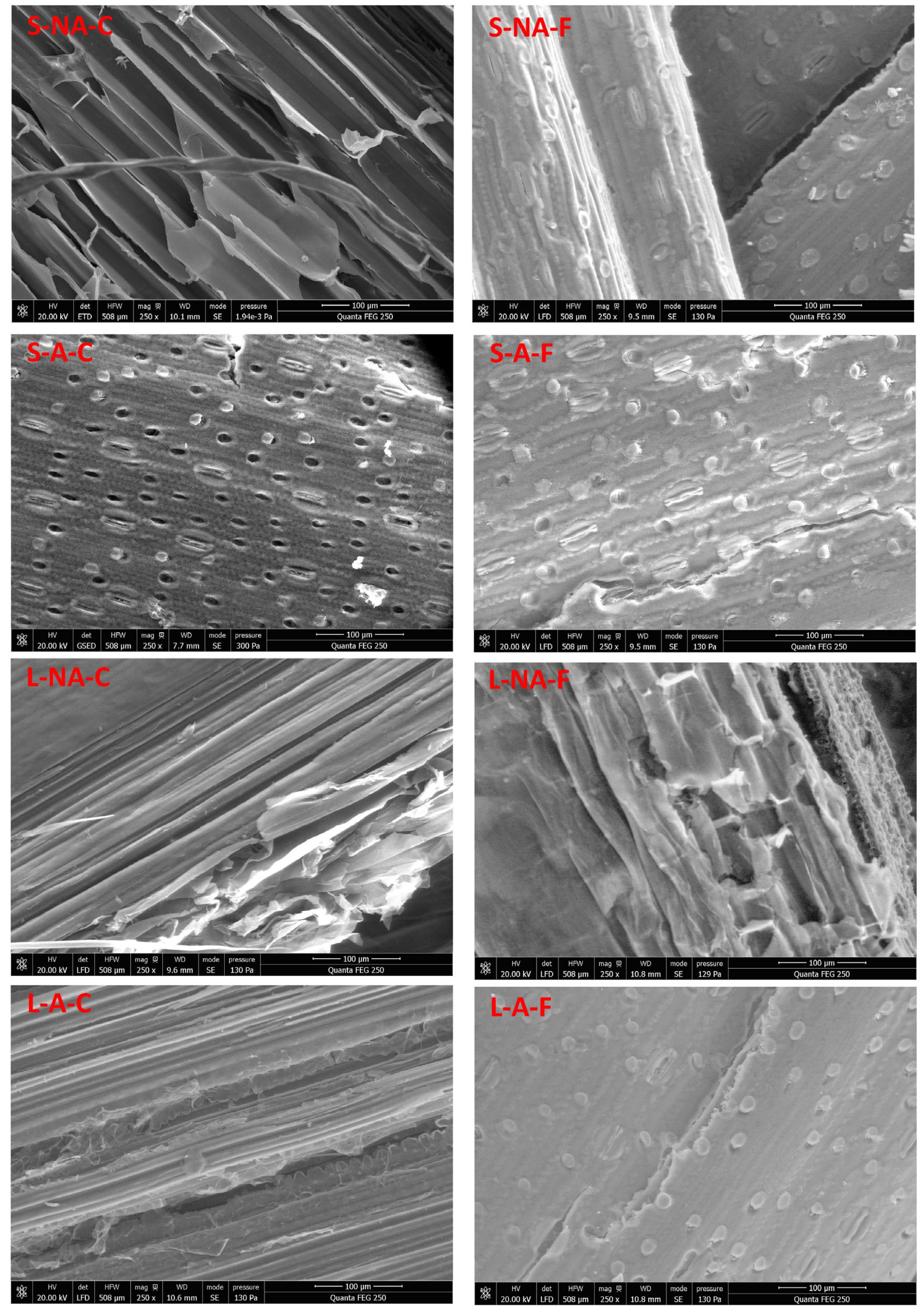 Energies 16 01146 g005 Energies 16 01146 g005