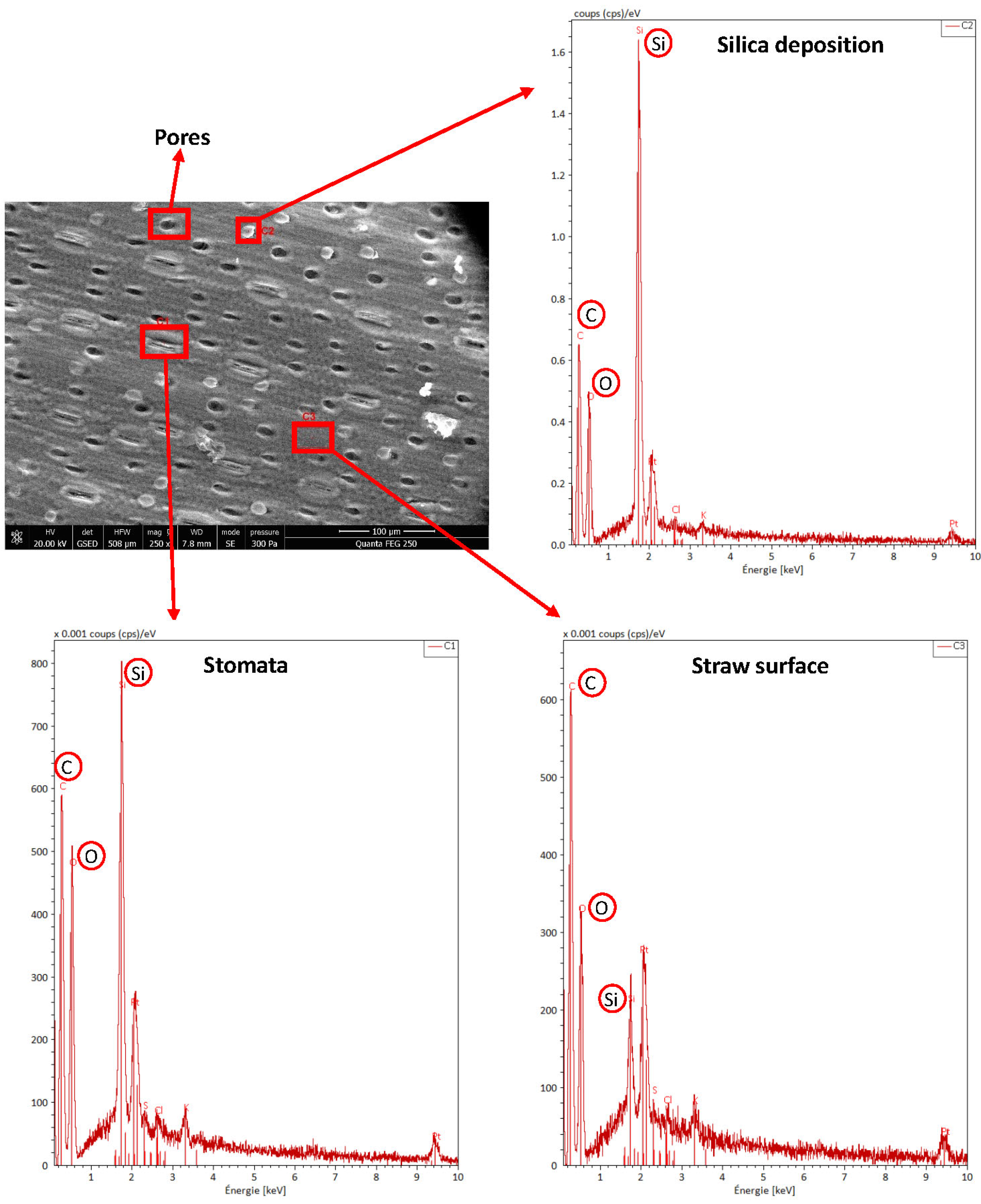 Energies 16 01146 g006 Energies 16 01146 g006