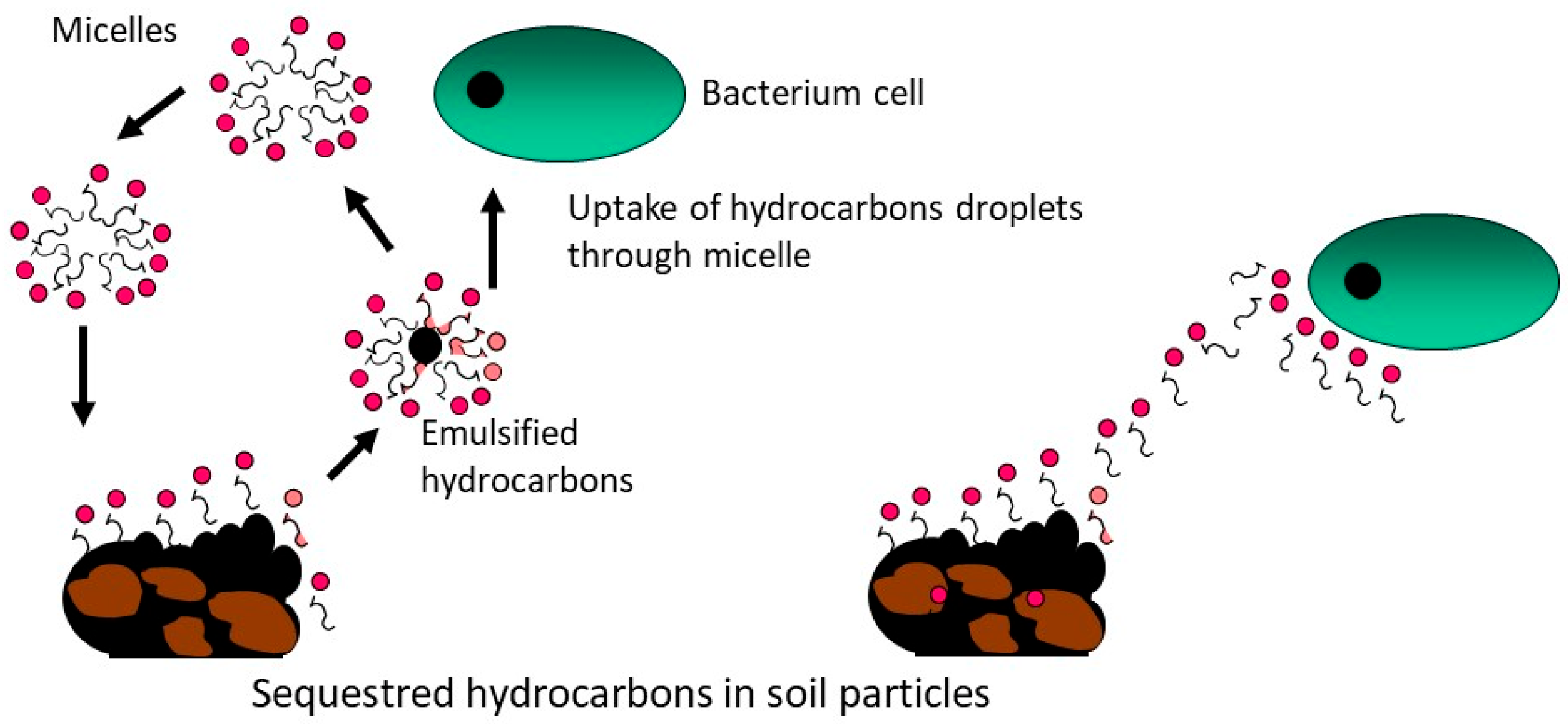 Energies 16 01209 g004 Energies 16 01209 g004