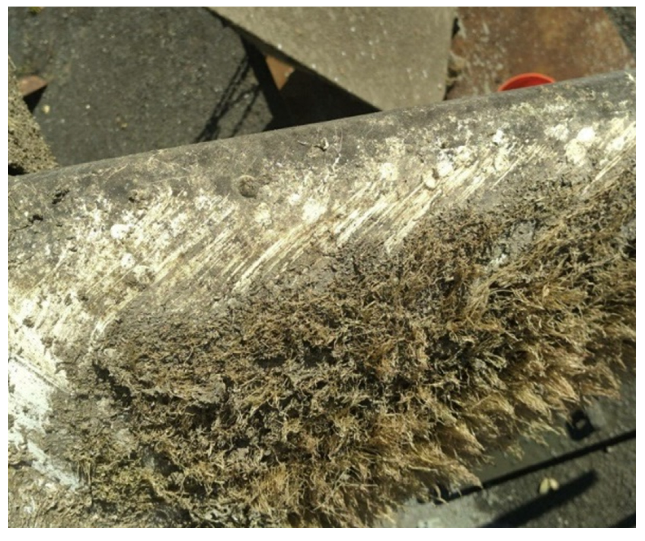 Energies 16 01255 g012