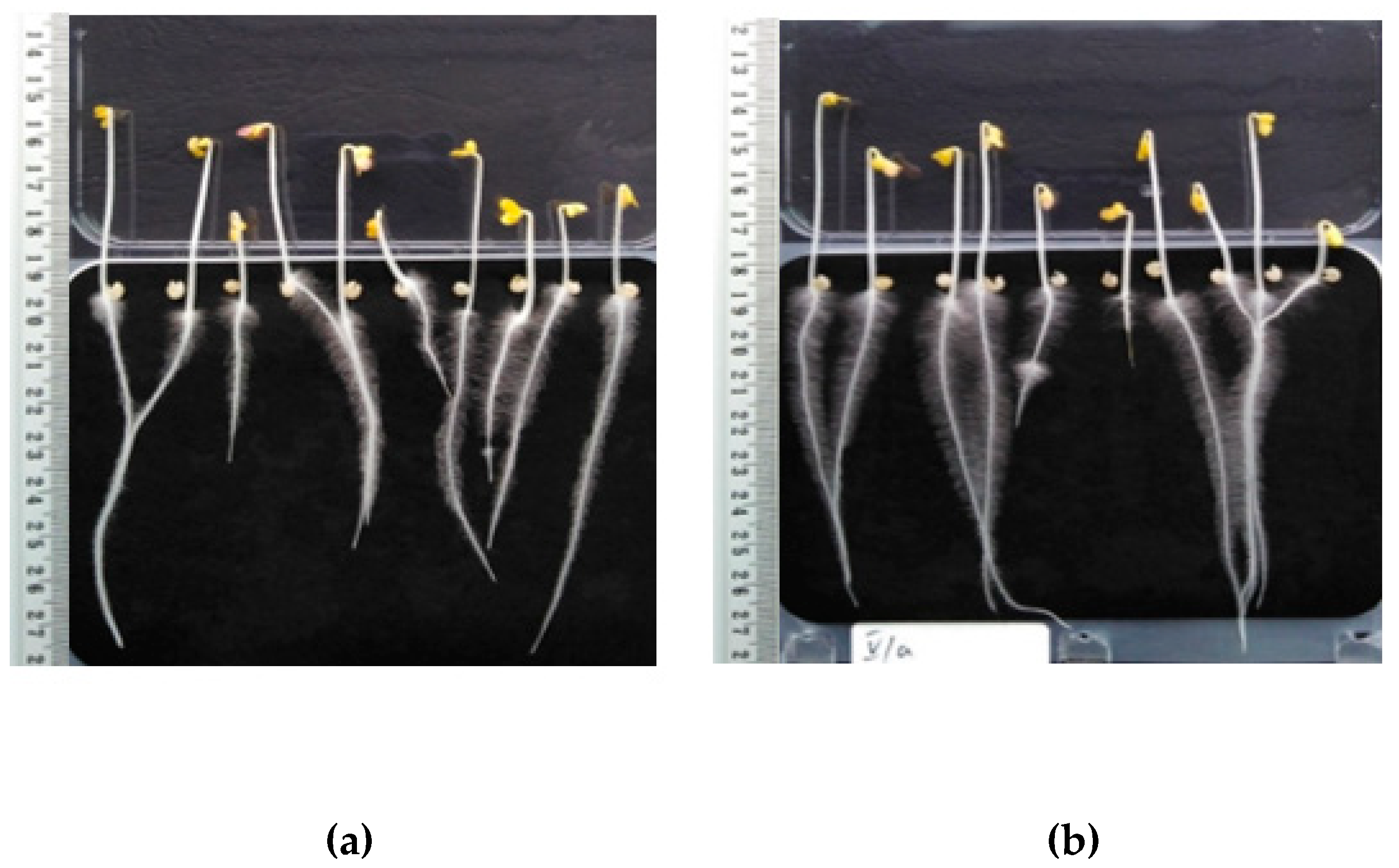 Energies 16 01283 g004 Energies 16 01283 g004